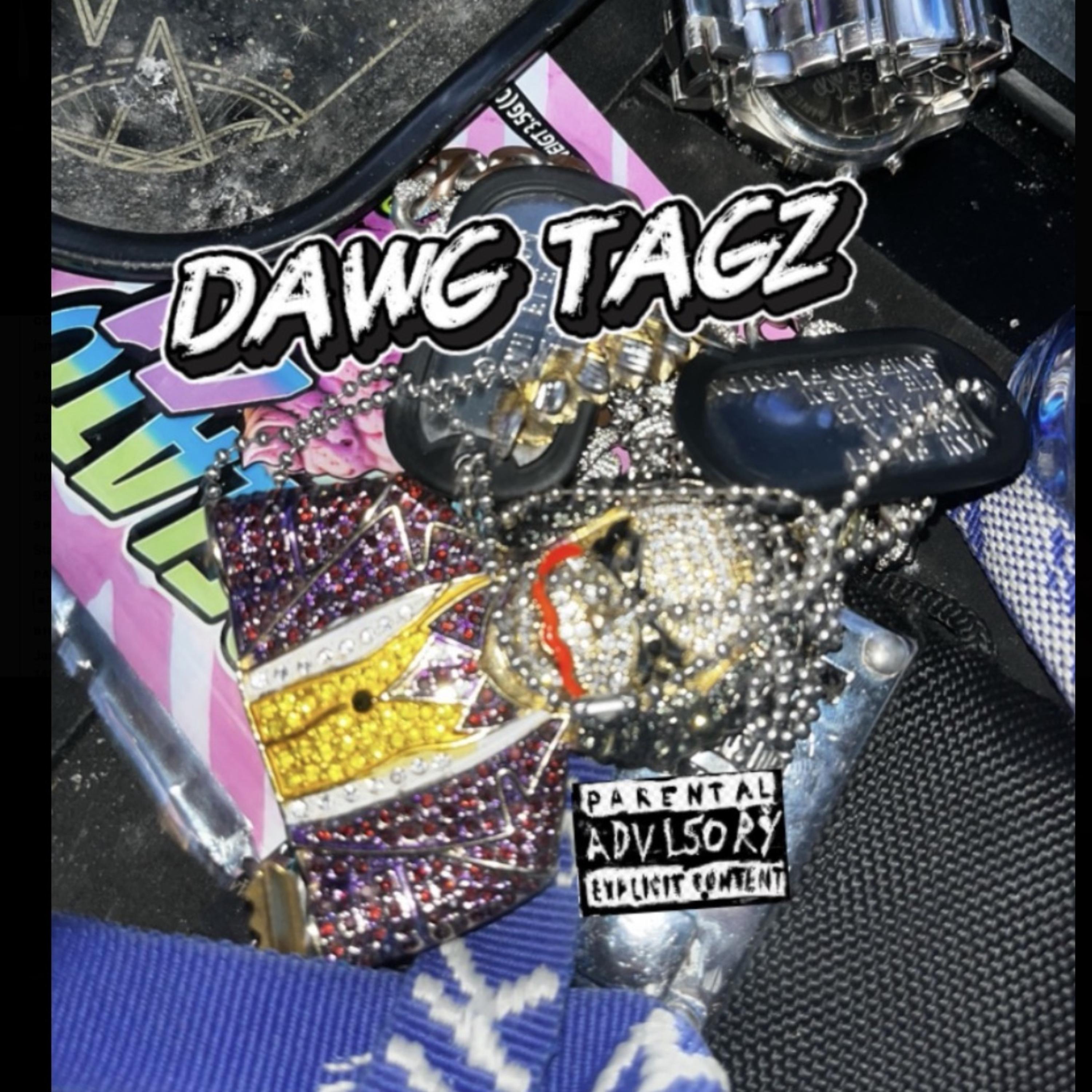 DAWG TAGZ artwork