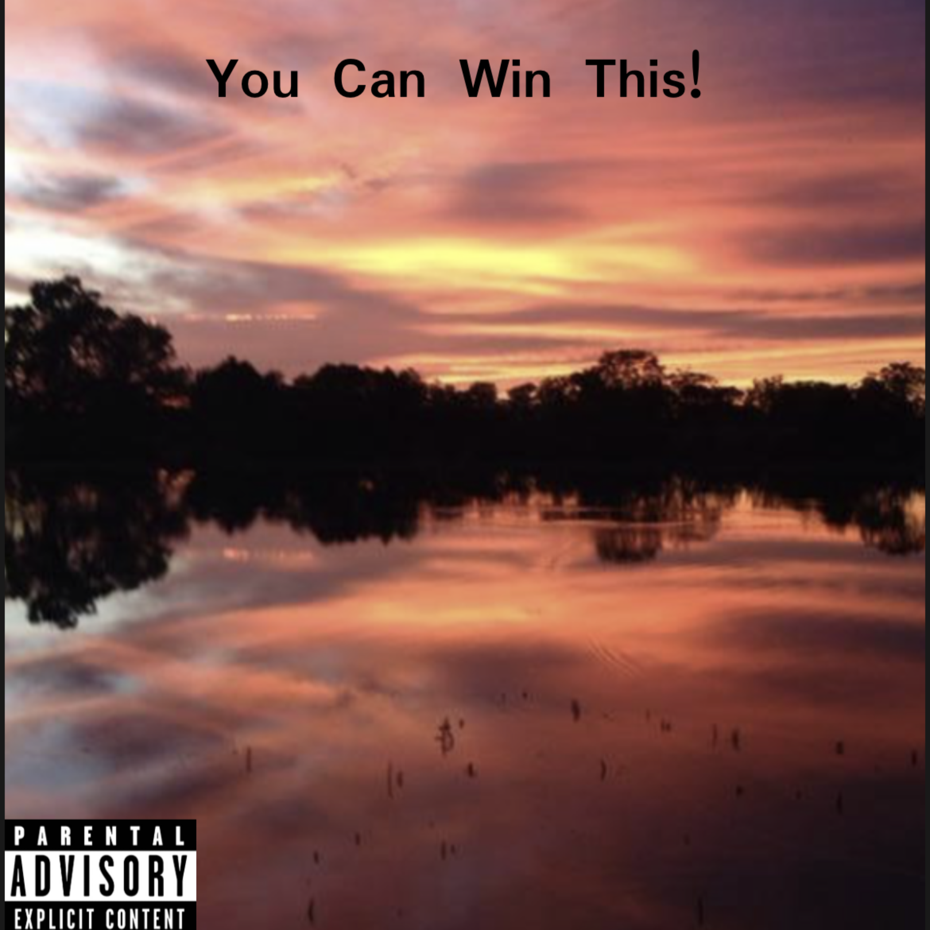 You Can Win This! artwork
