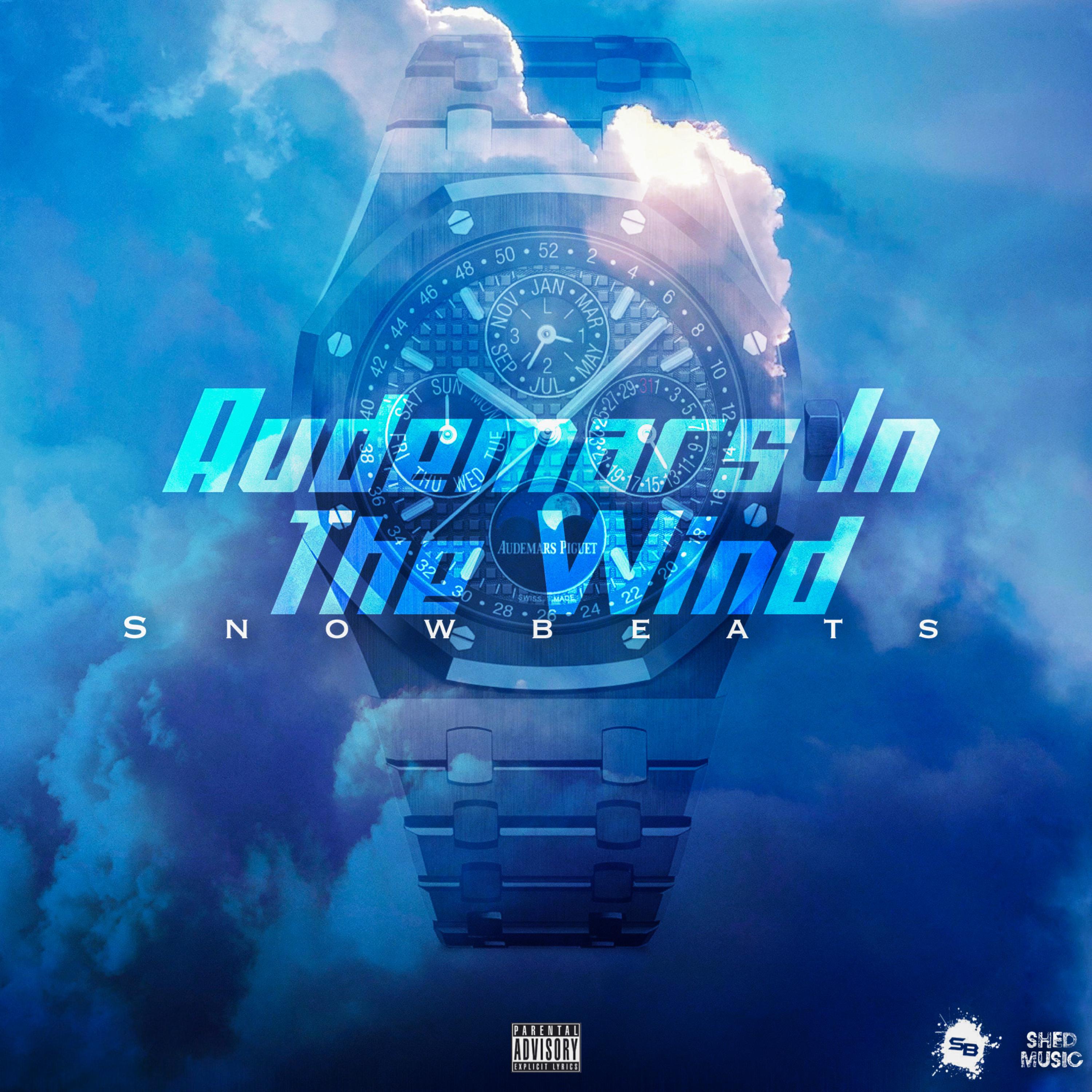 AUDEMARS IN THE WIND artwork