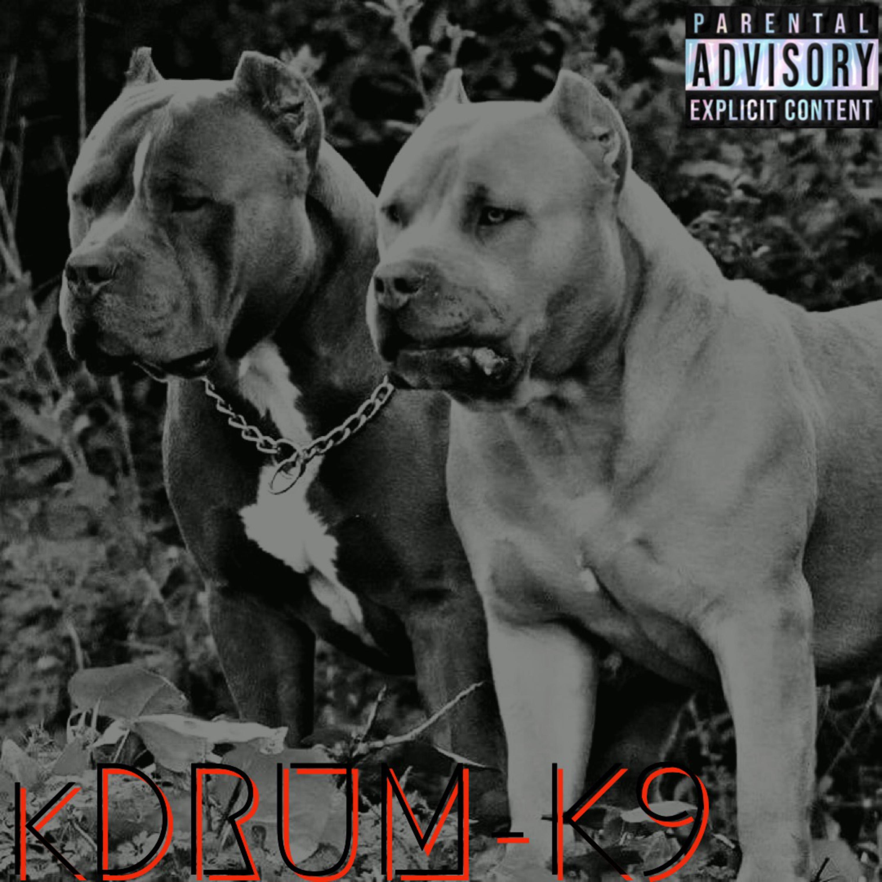 K9 artwork