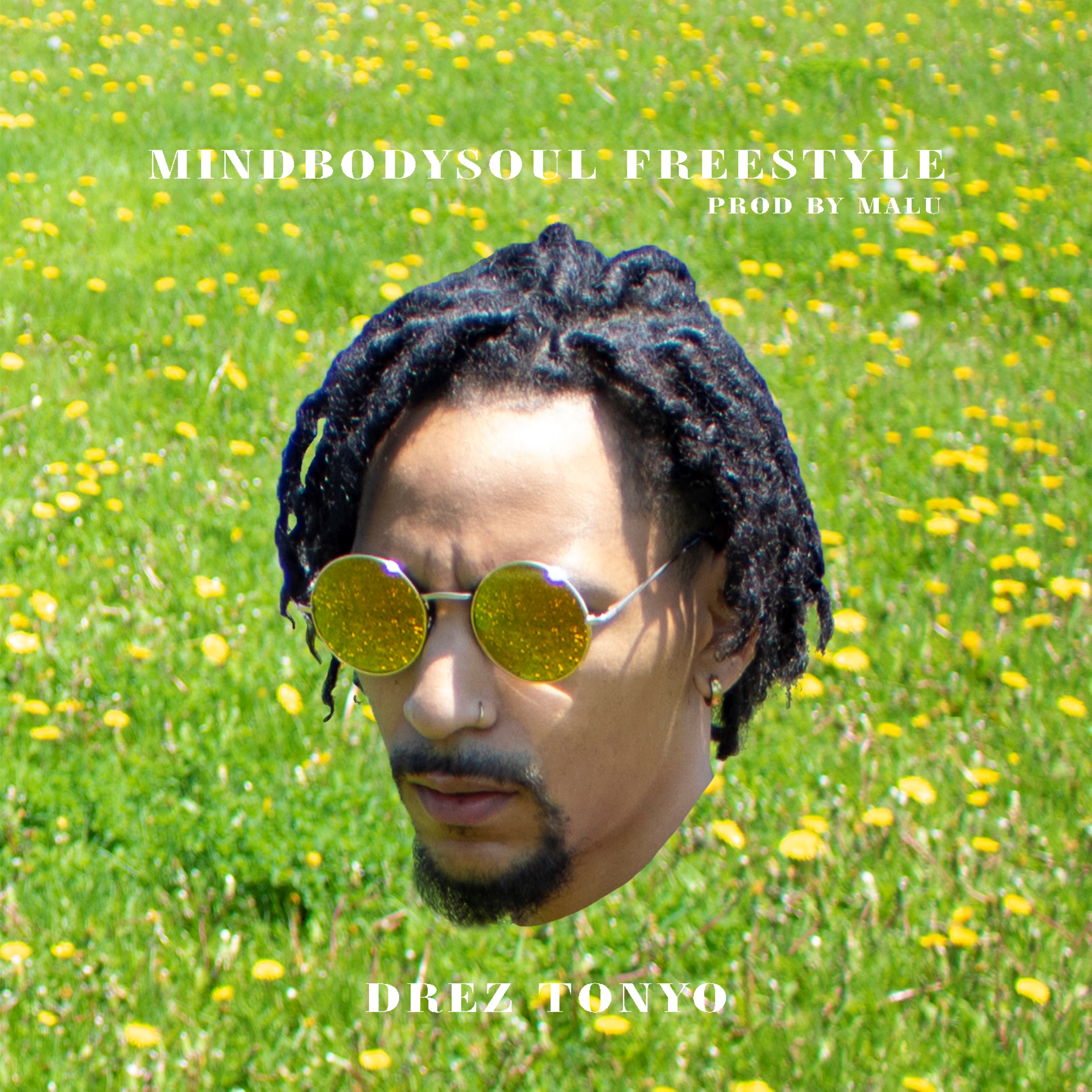 mindbodysoul freestyle by Drez Tonyo cover art
