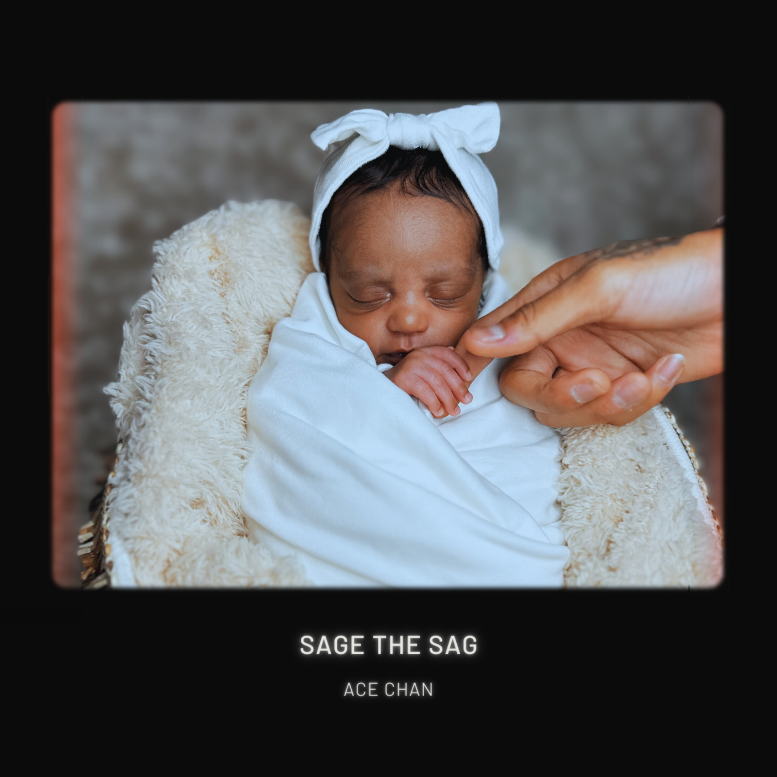 SAGE THE SAG artwork