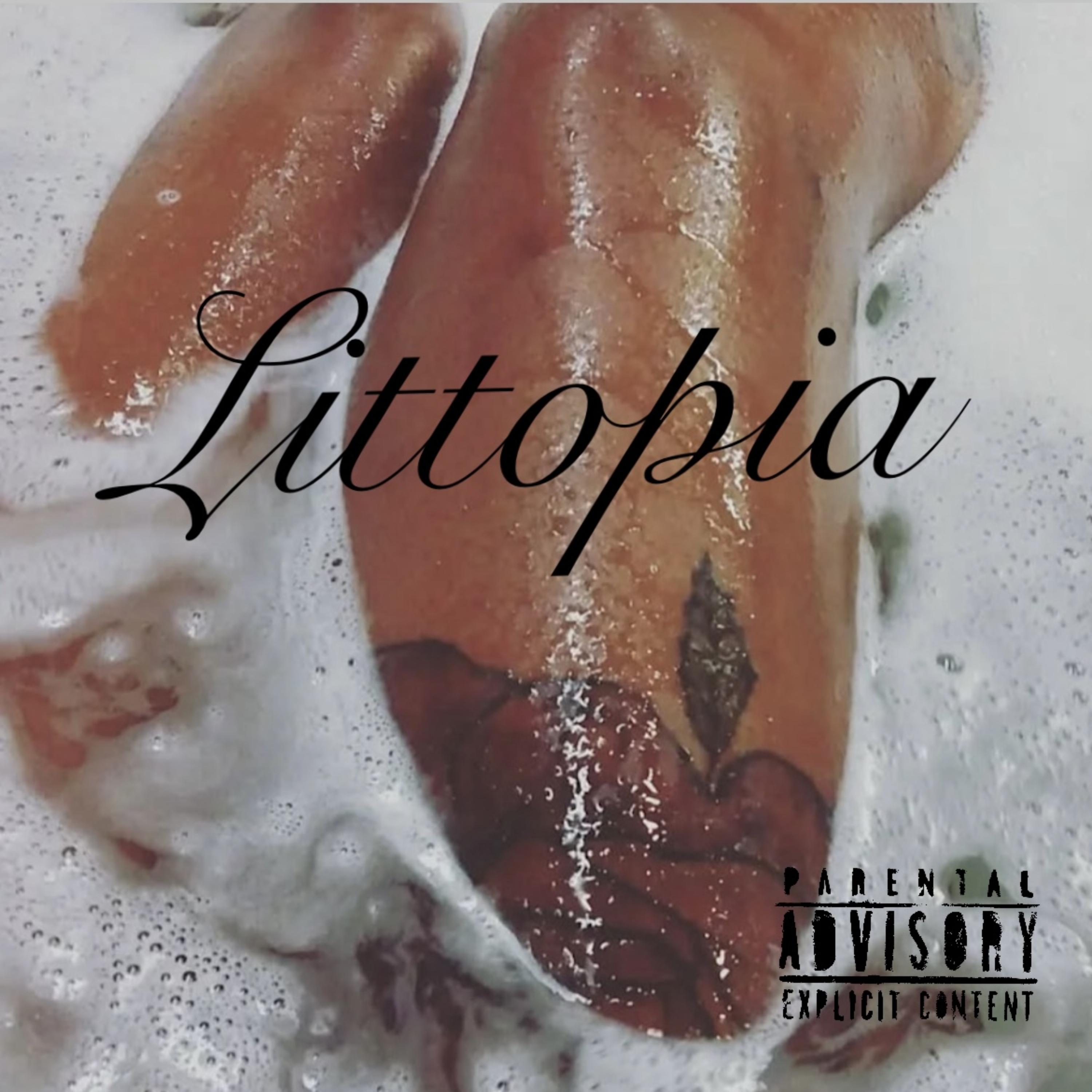 Littopia artwork