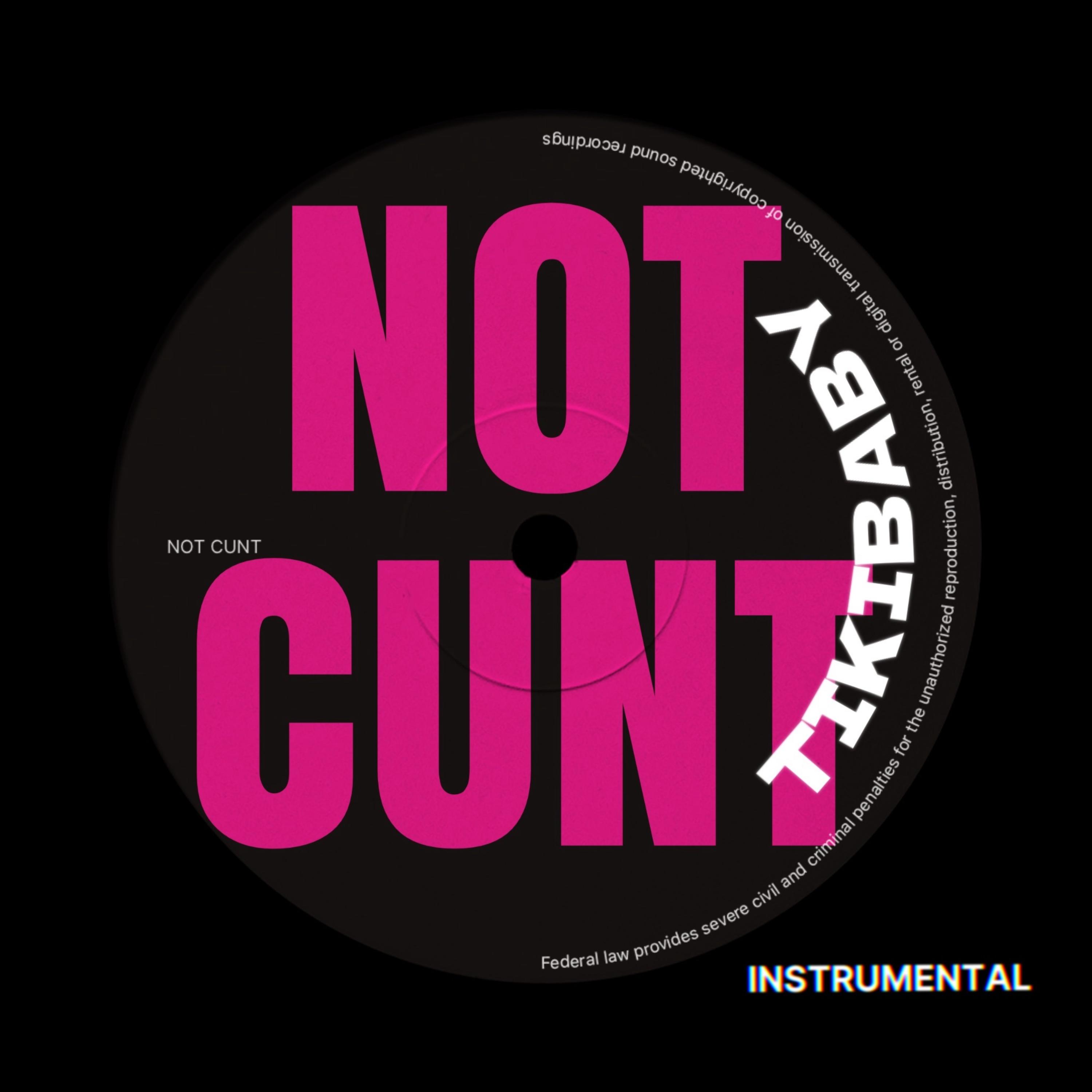 NOT CUNT (Instrumental) artwork