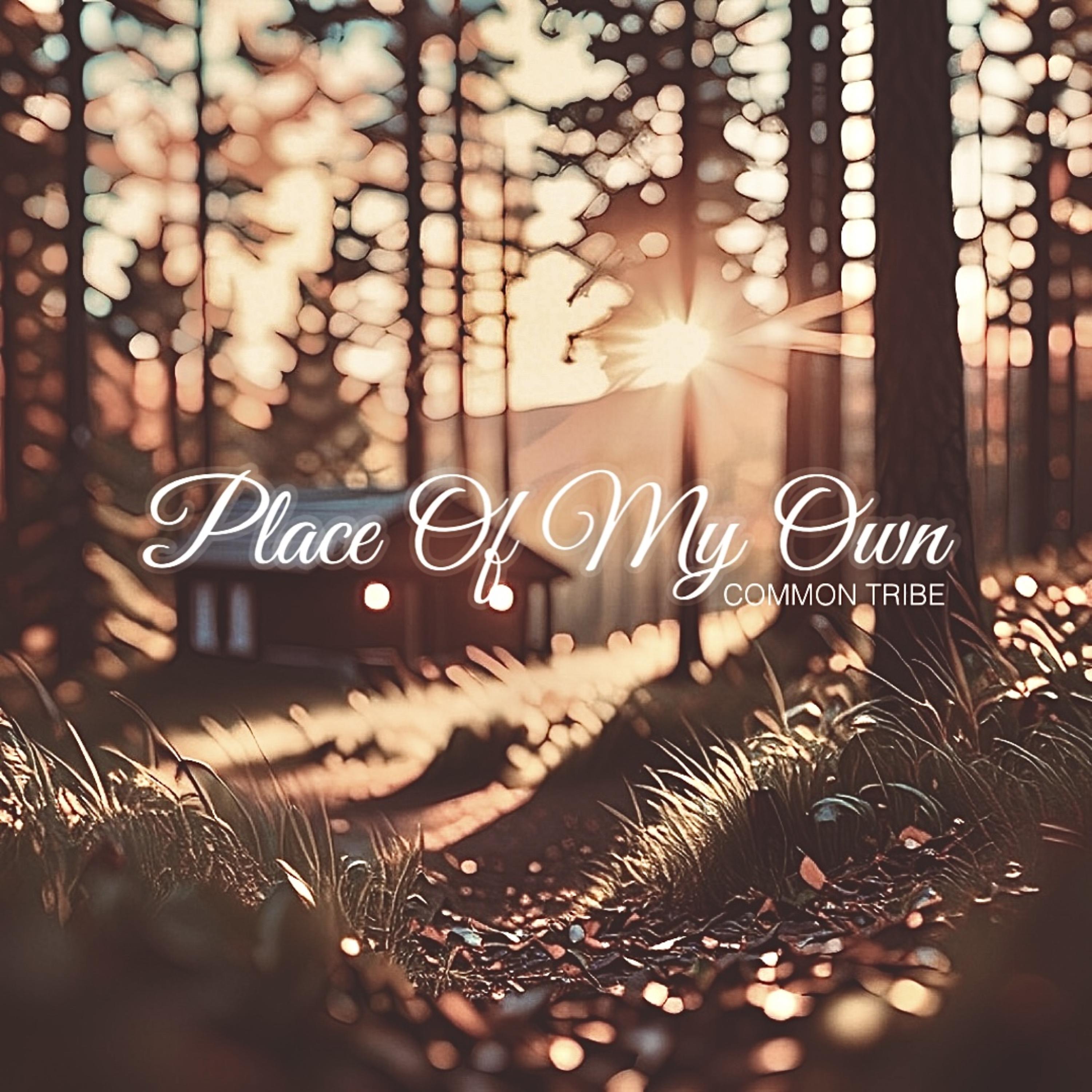 Place Of My Own artwork