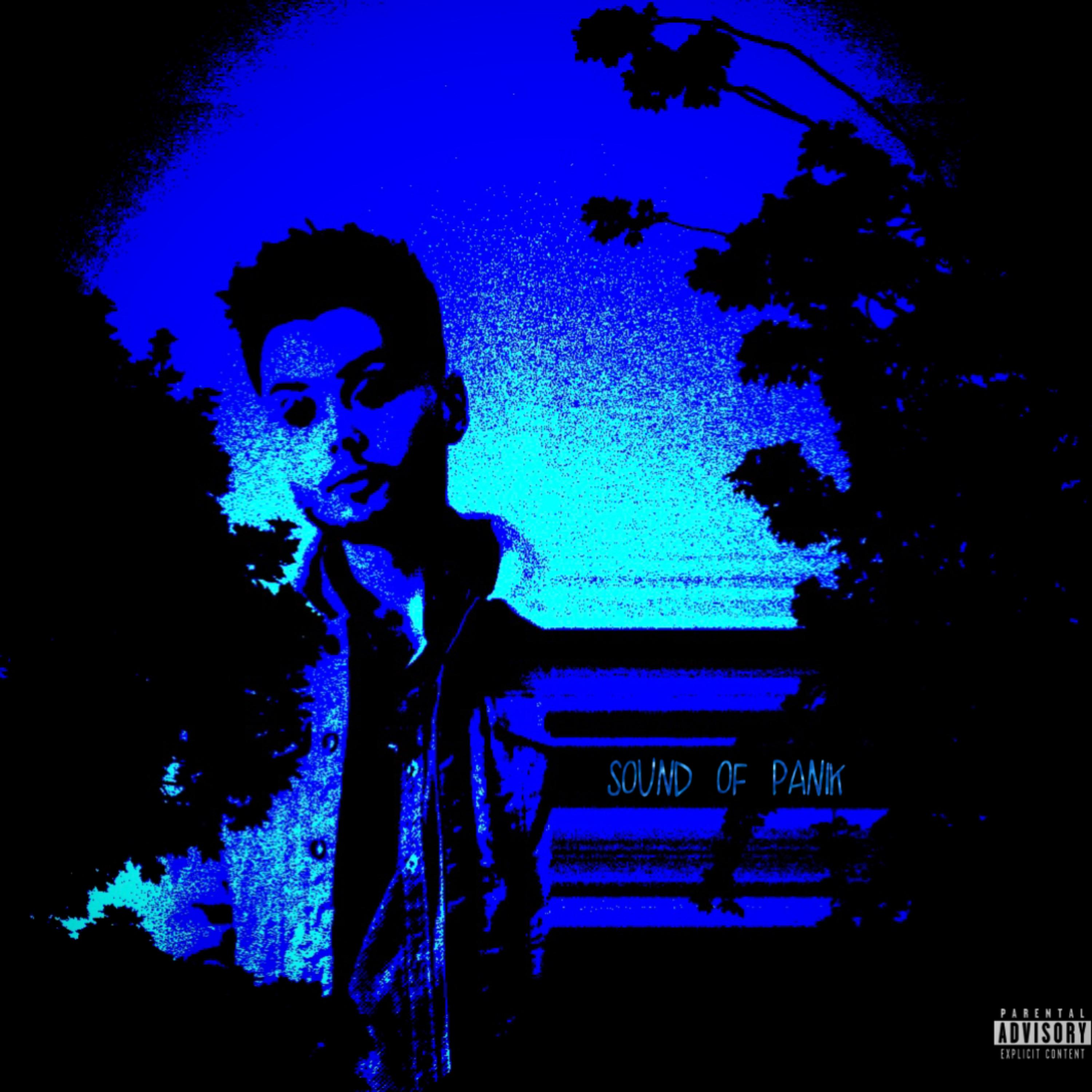 Sound Of Panik artwork