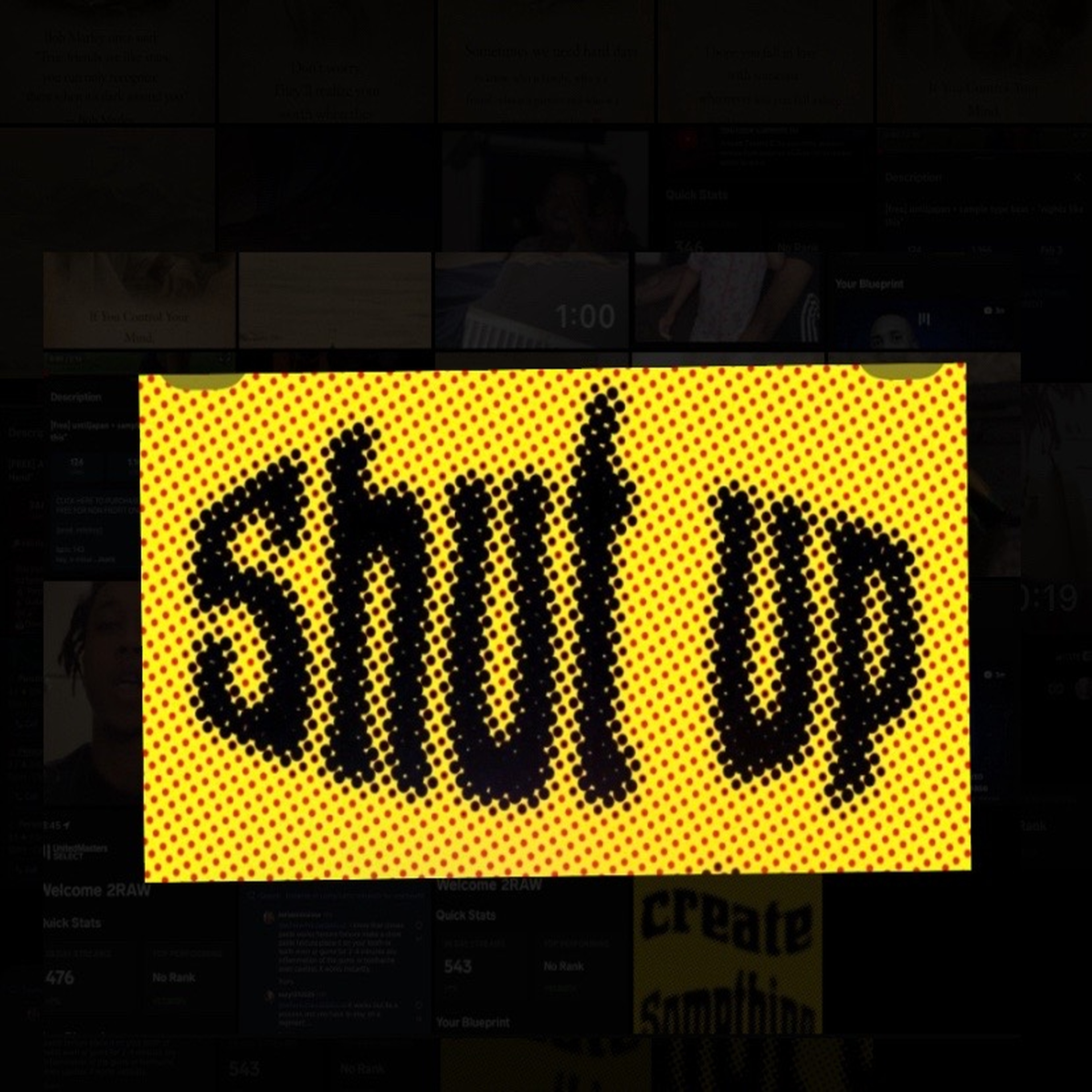 Shut Up N Just Vibe artwork