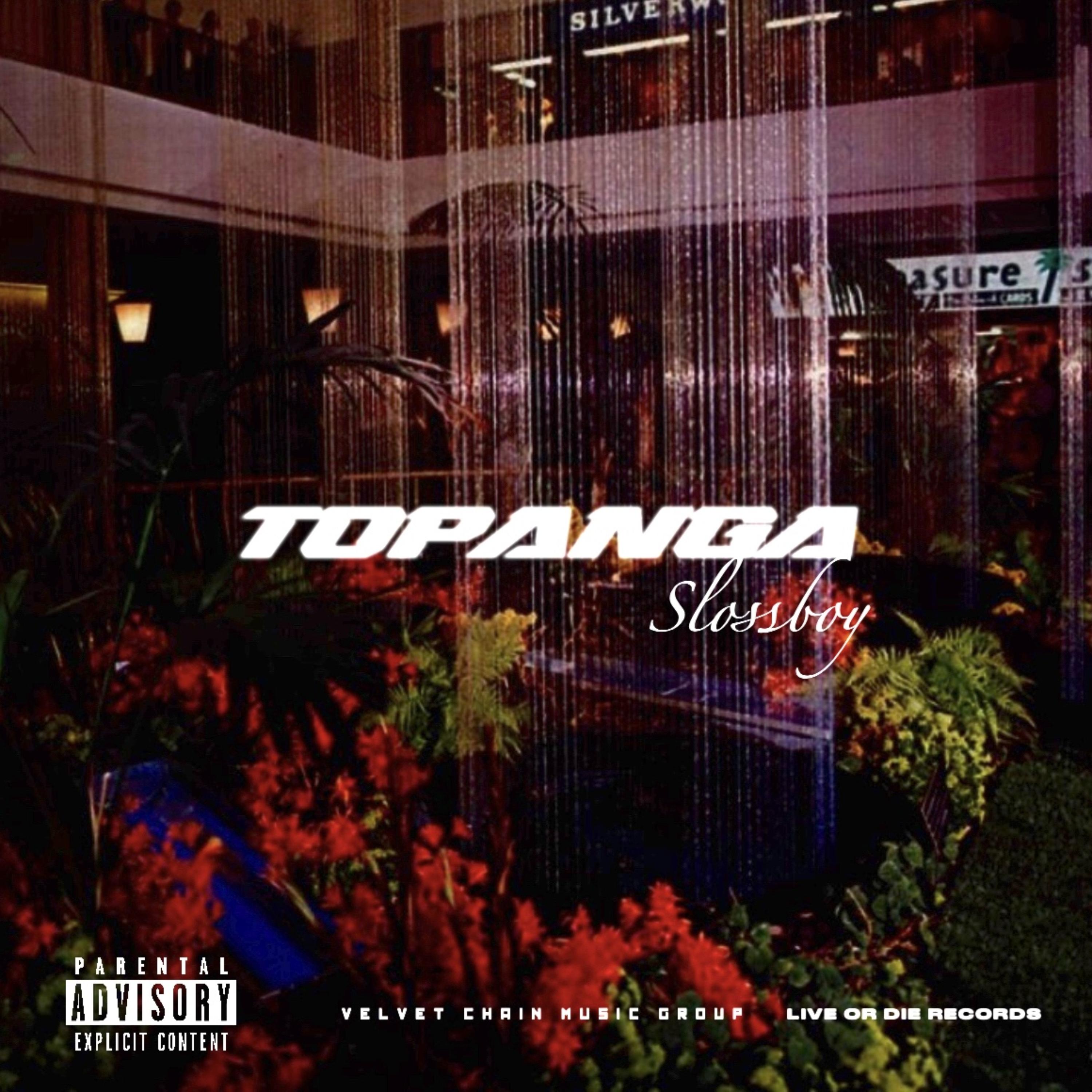 Topanga artwork