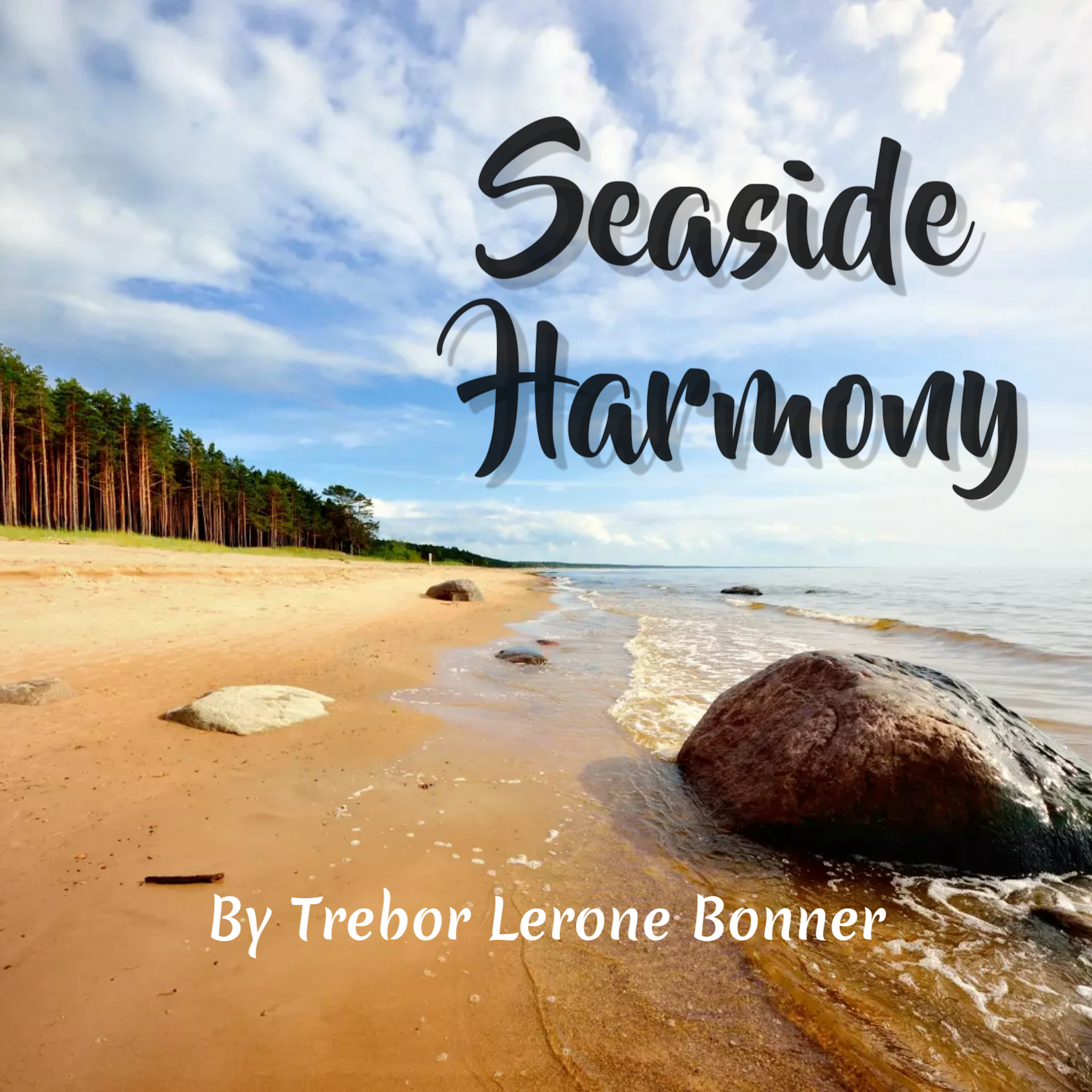 Seaside Harmony artwork