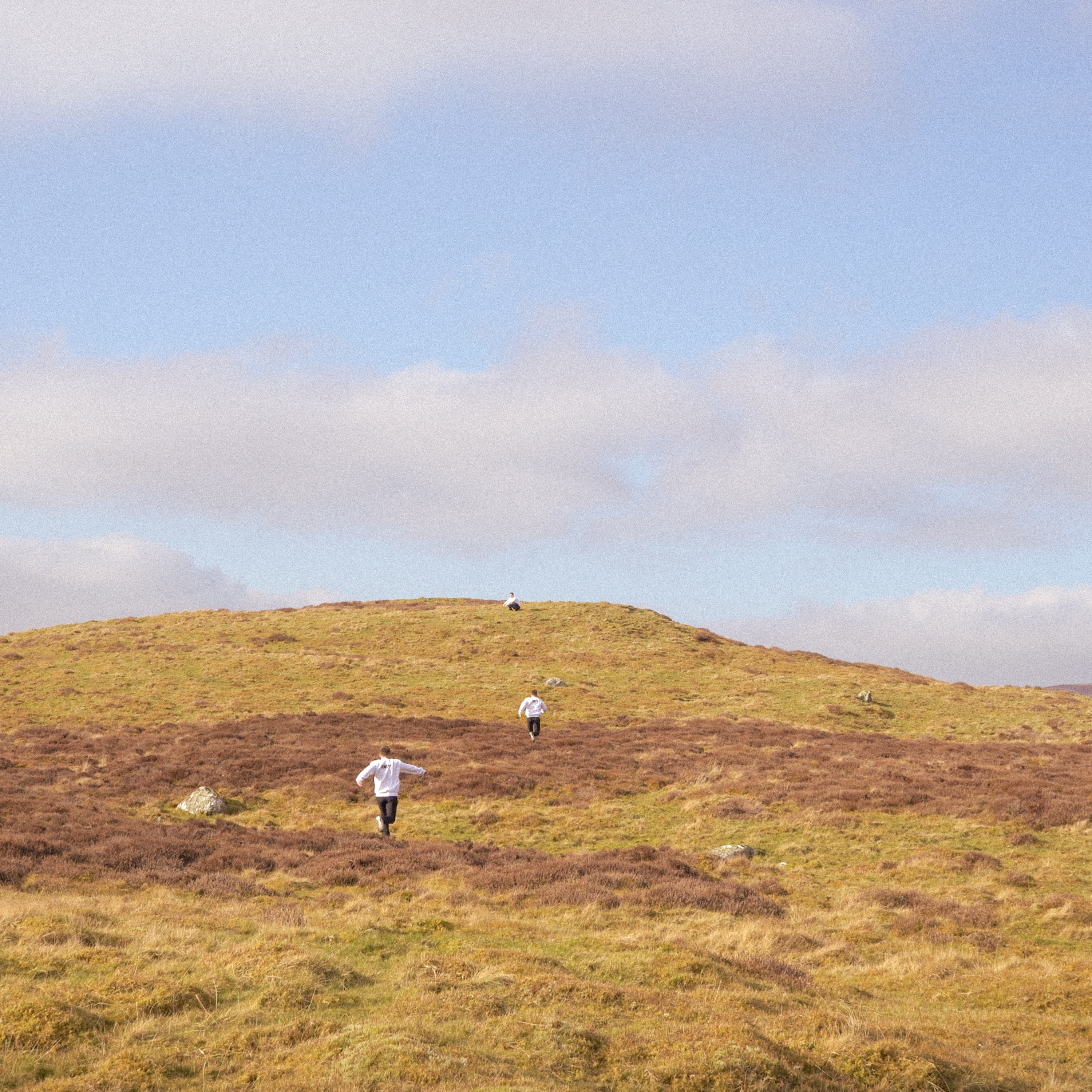 MIND MY BUSINESS artwork