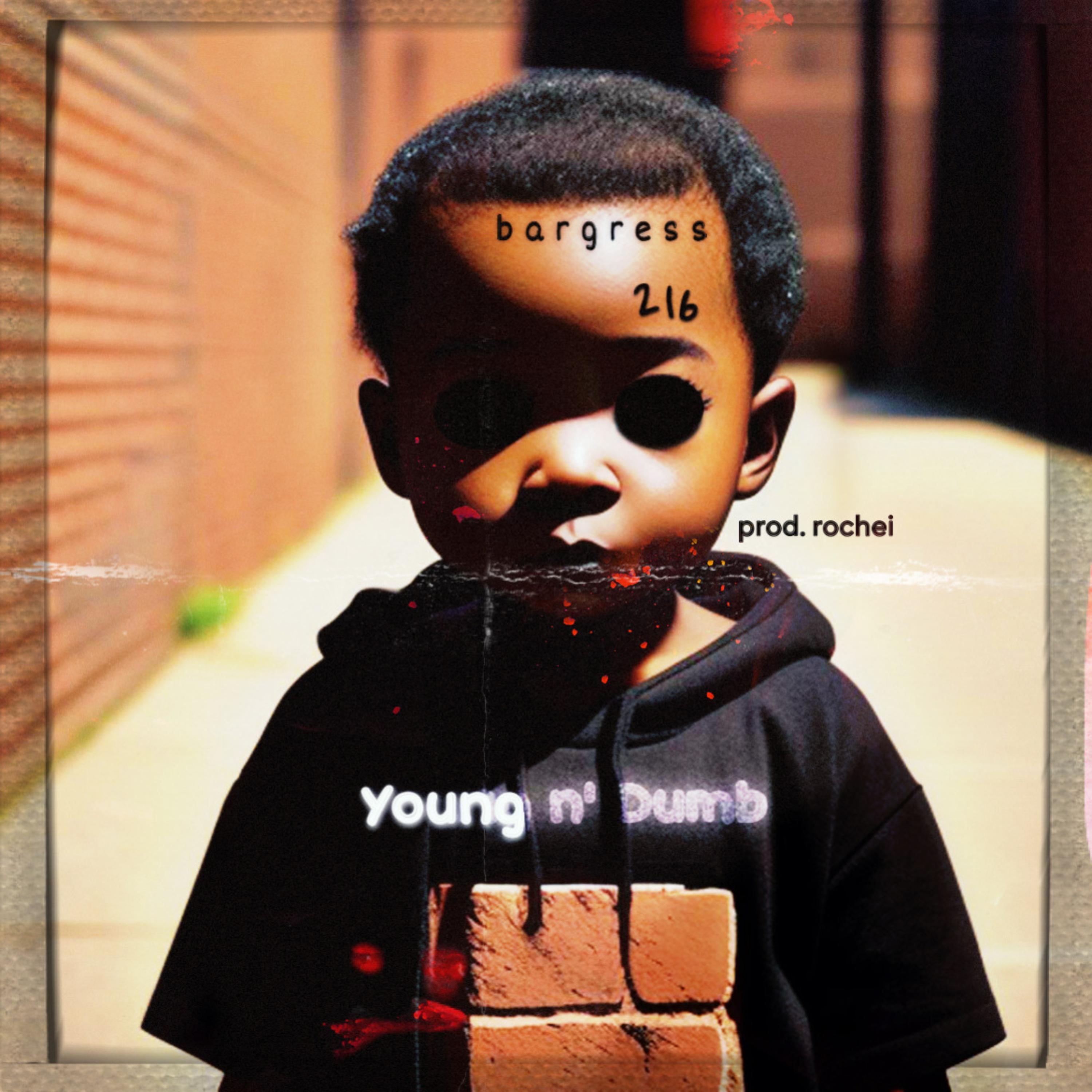 Young n' Dumb artwork