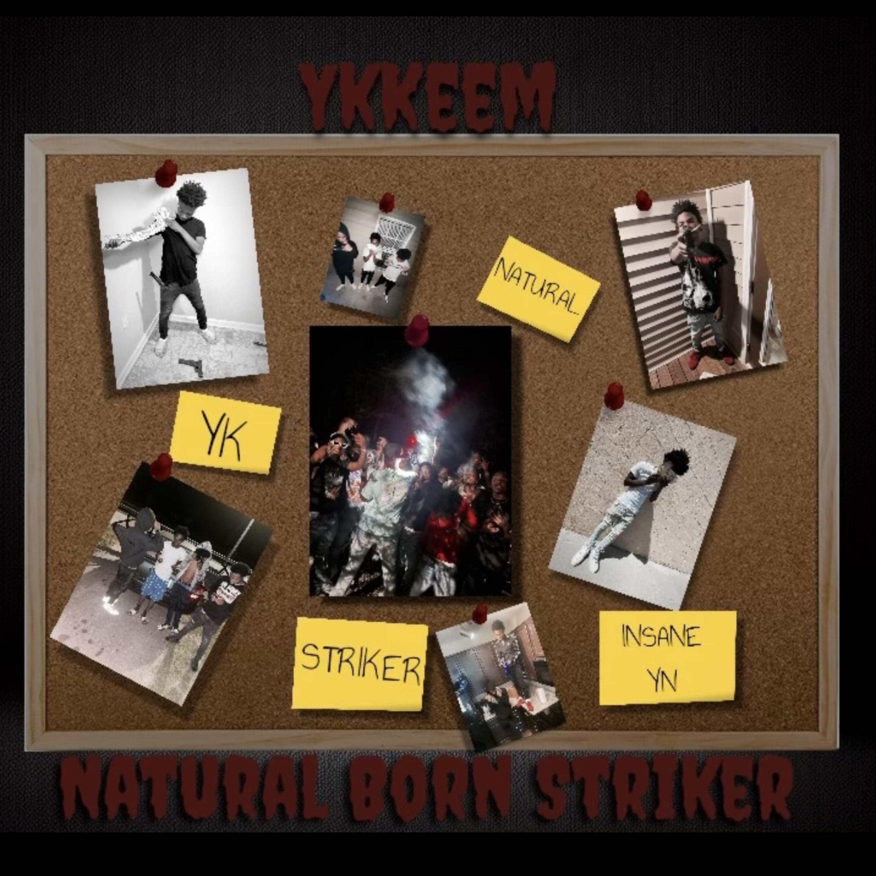 Natural Born Striker artwork