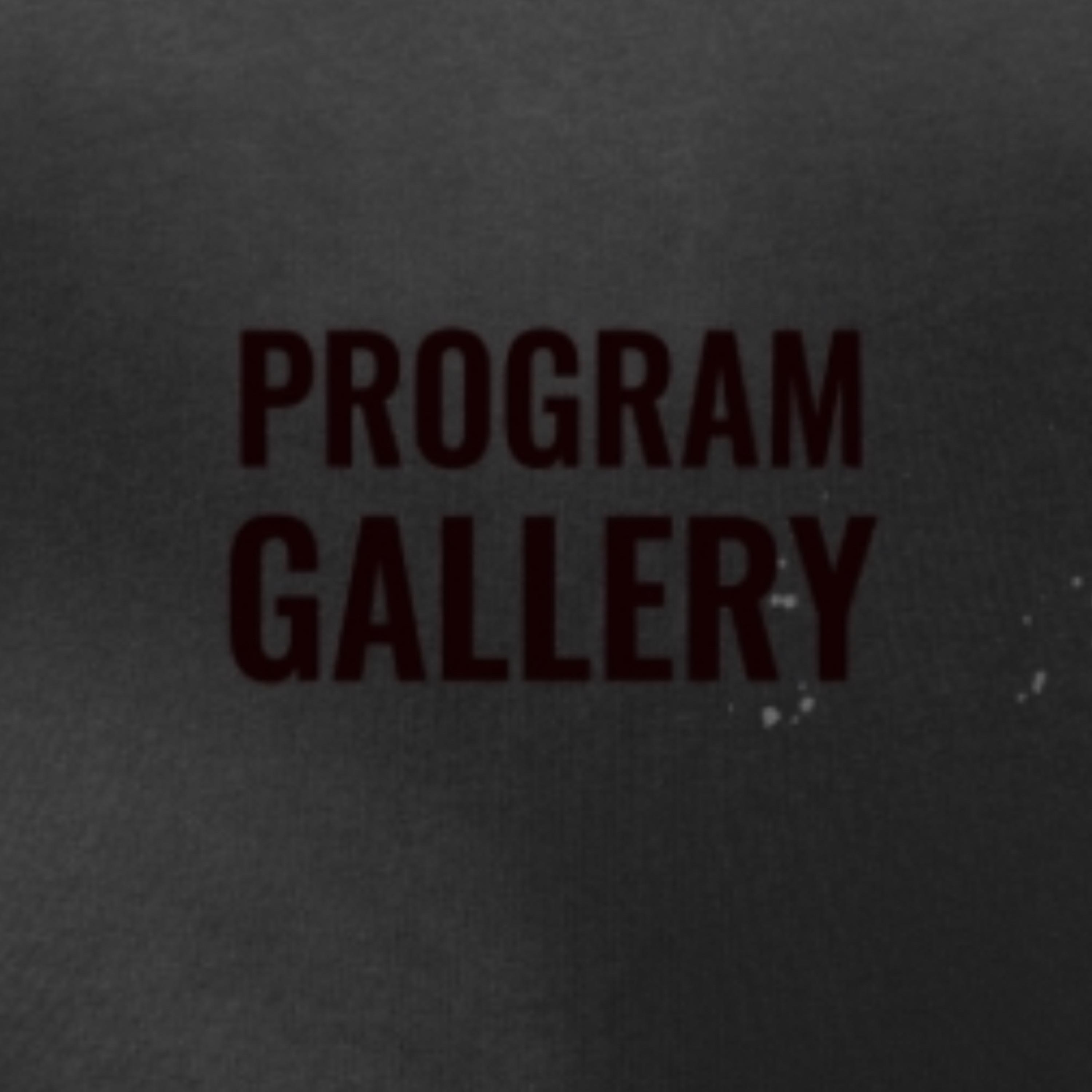 Program Gallery artwork