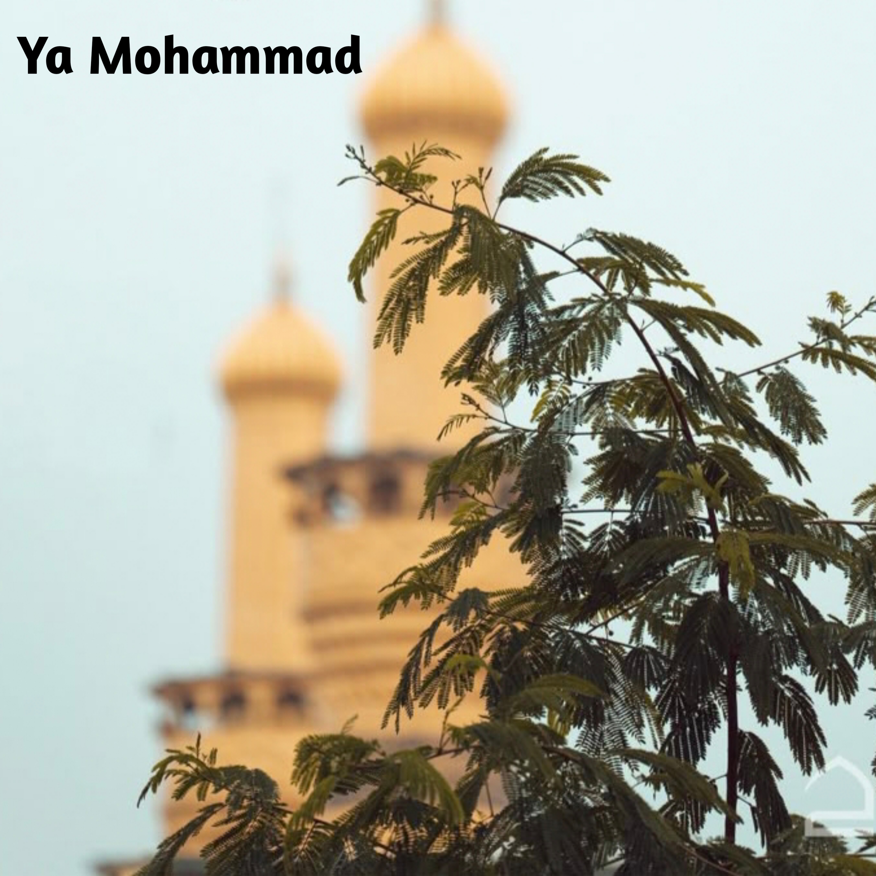 Ya Mohammad artwork