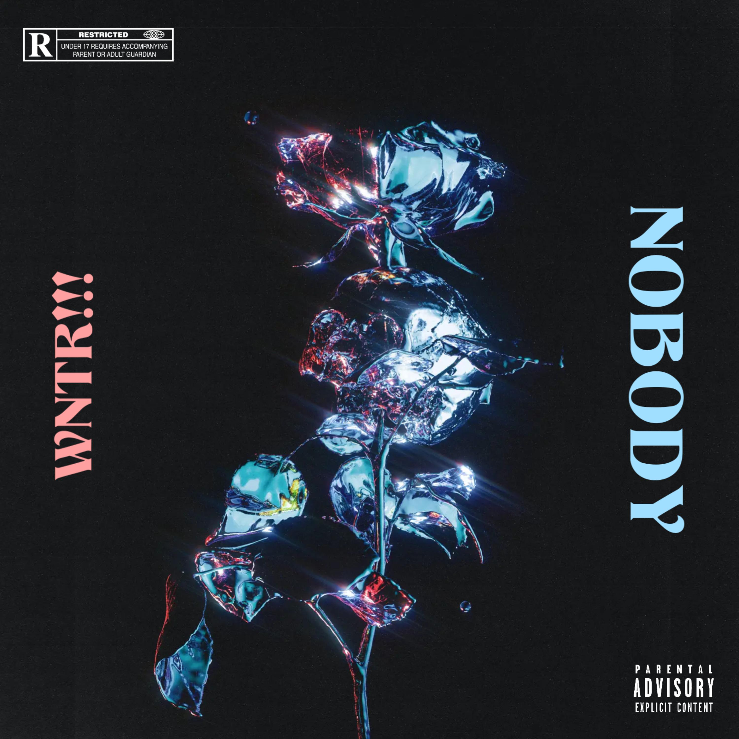 NOBODY by Wntr!!! cover art