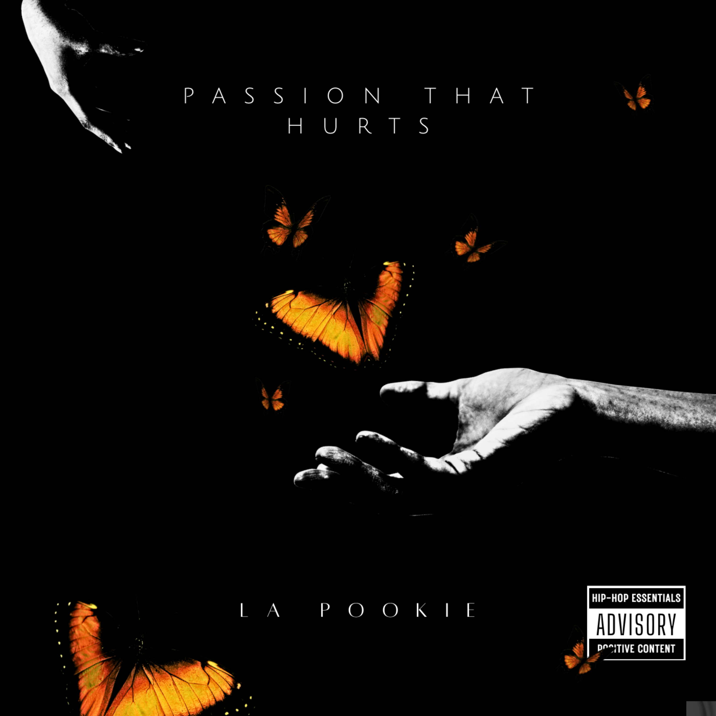 Passion That Hurts artwork