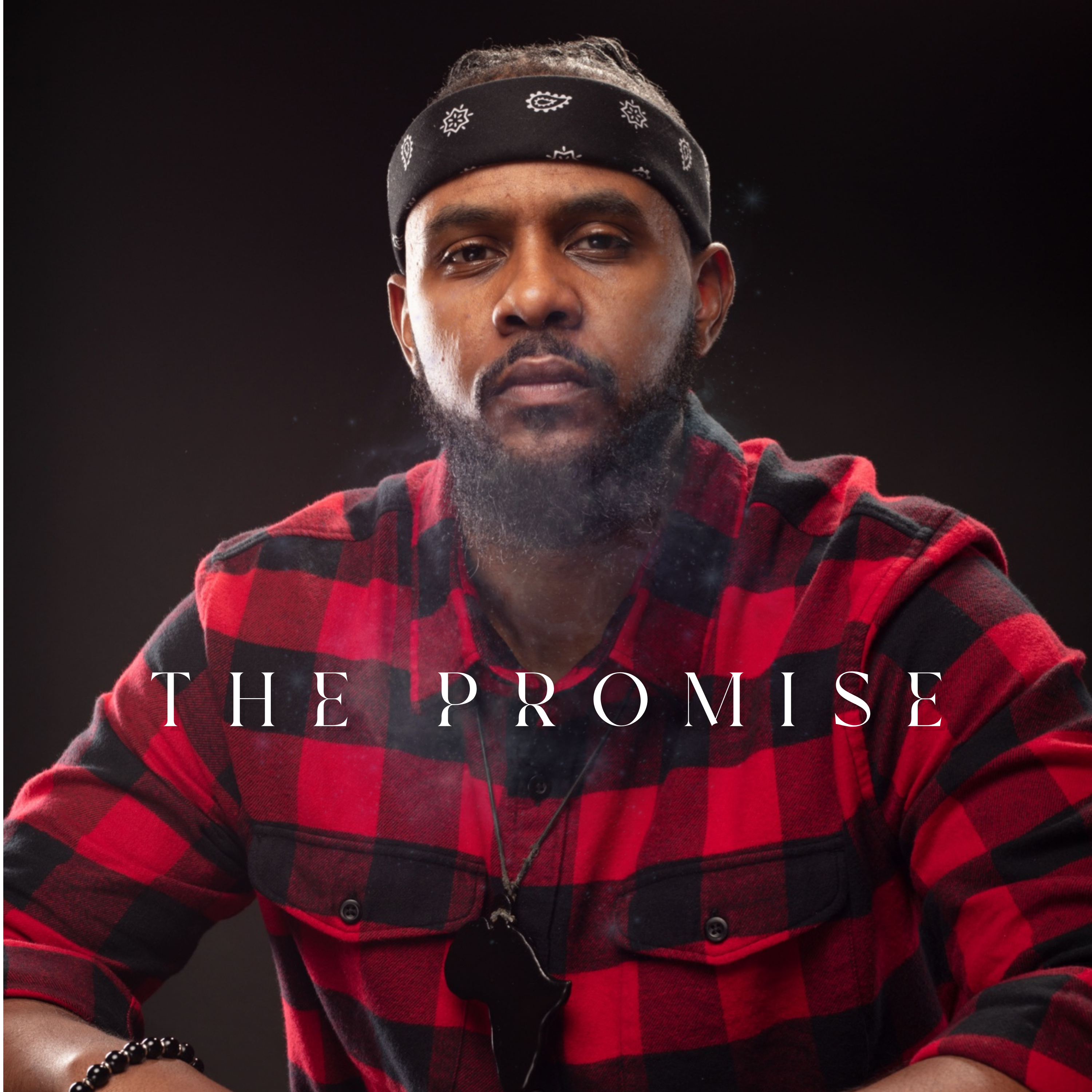 The Promise artwork