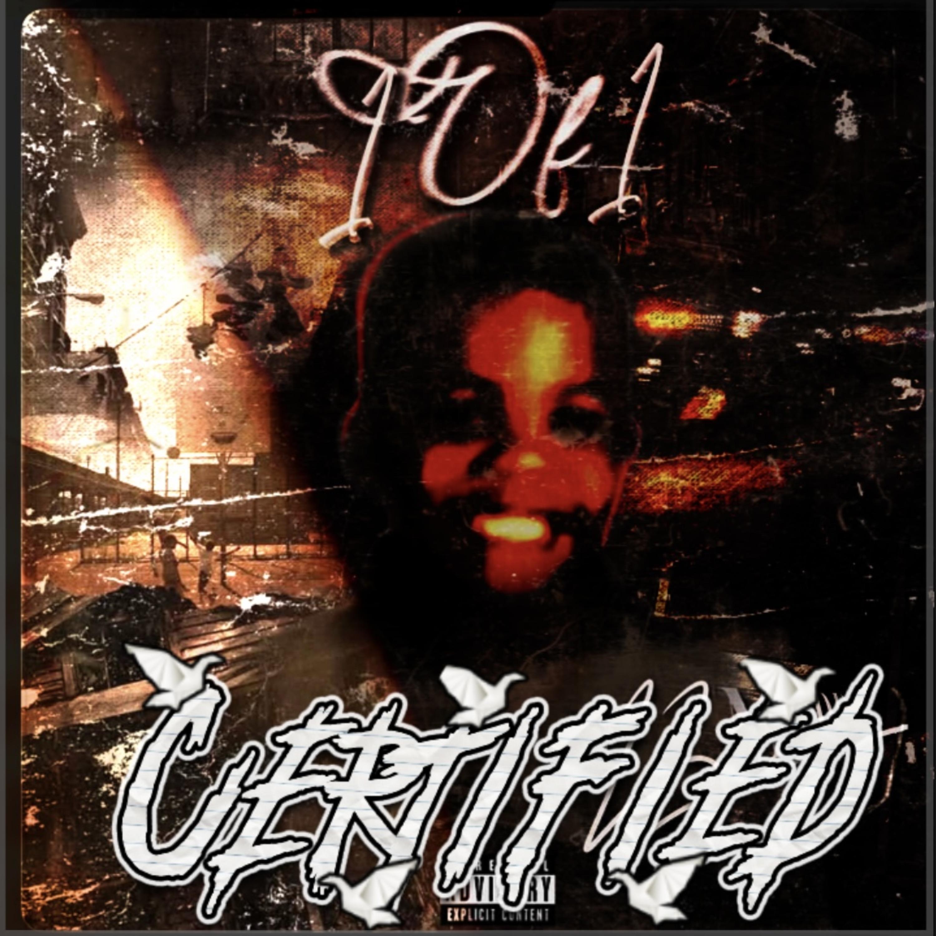 Certified artwork