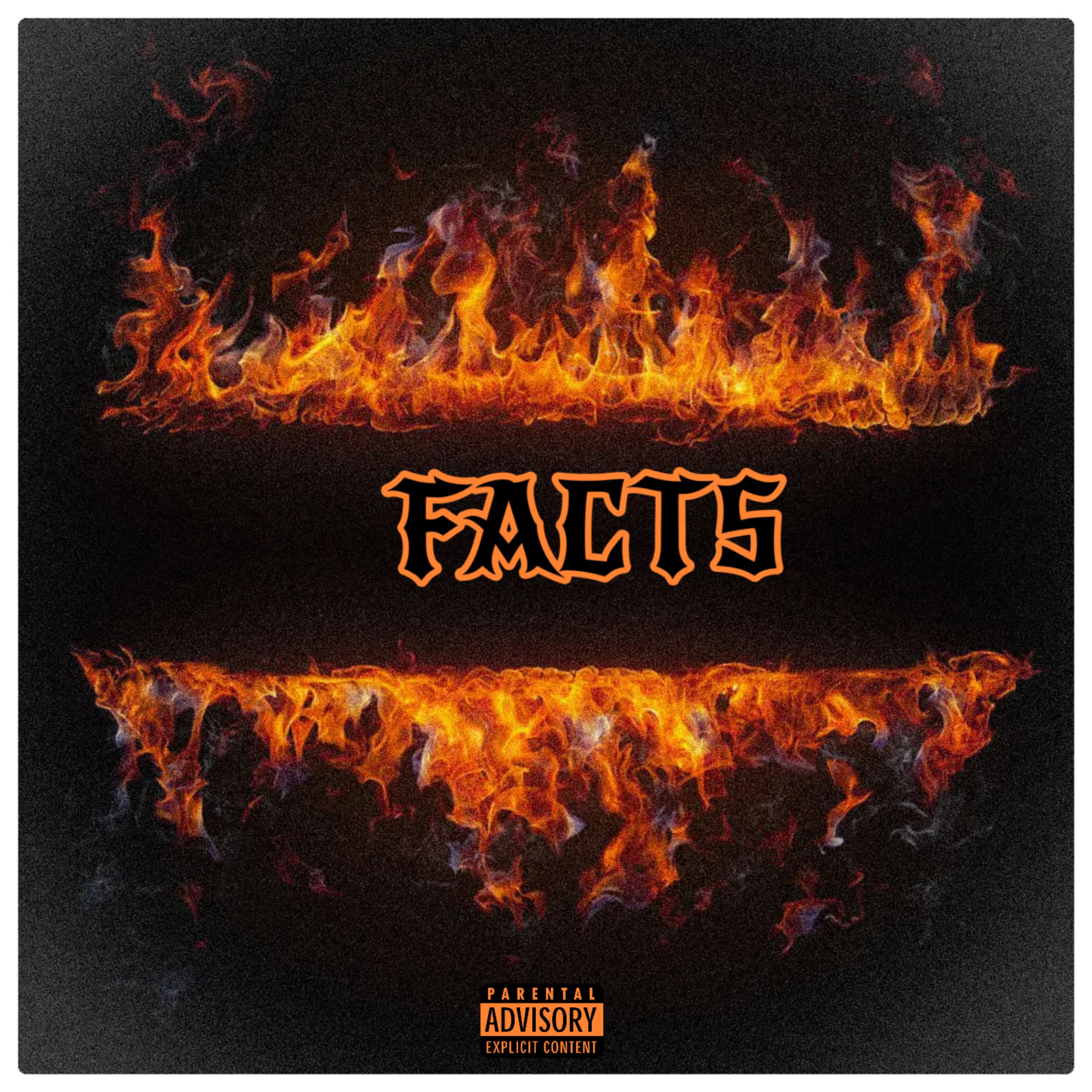 Facts artwork