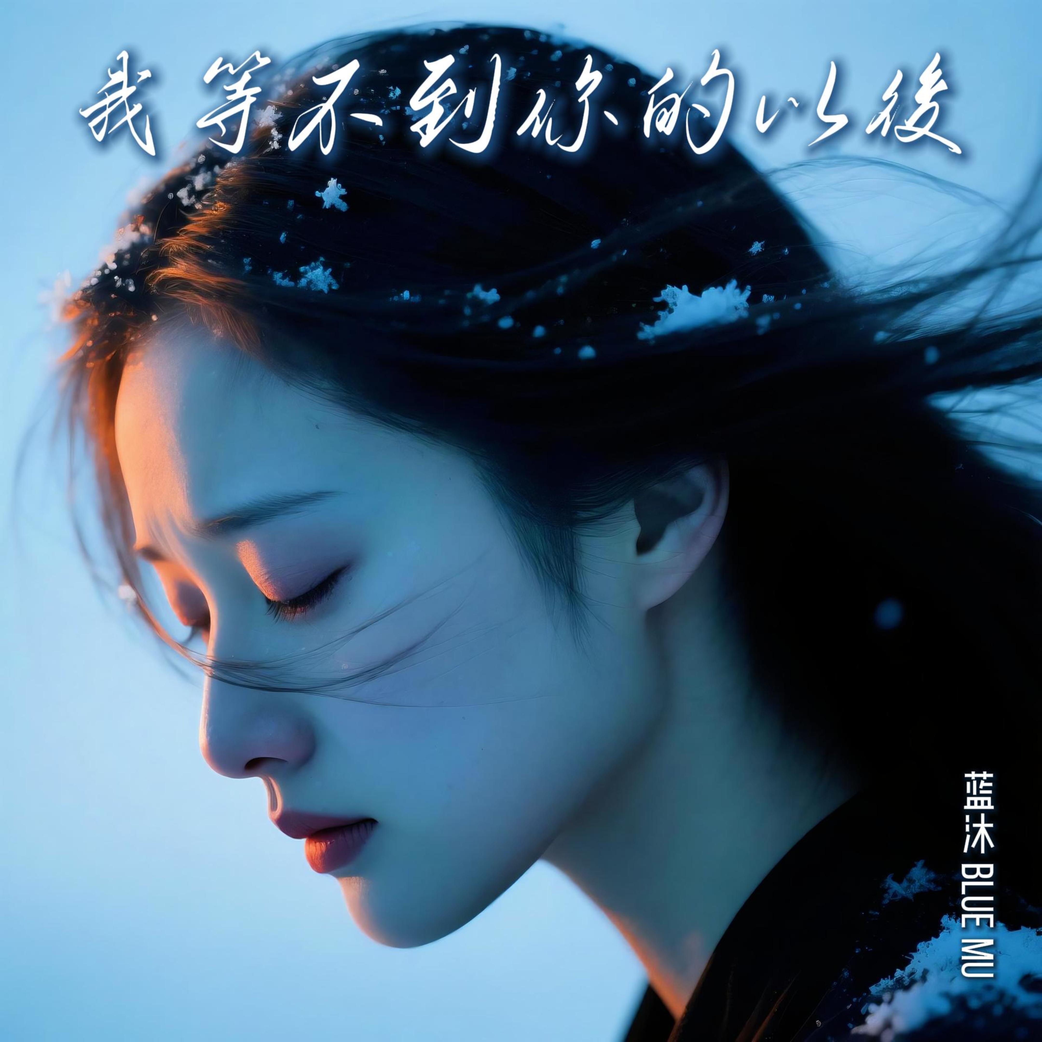 我等不到你的以後 by 蓝沐 Blue Mu cover art