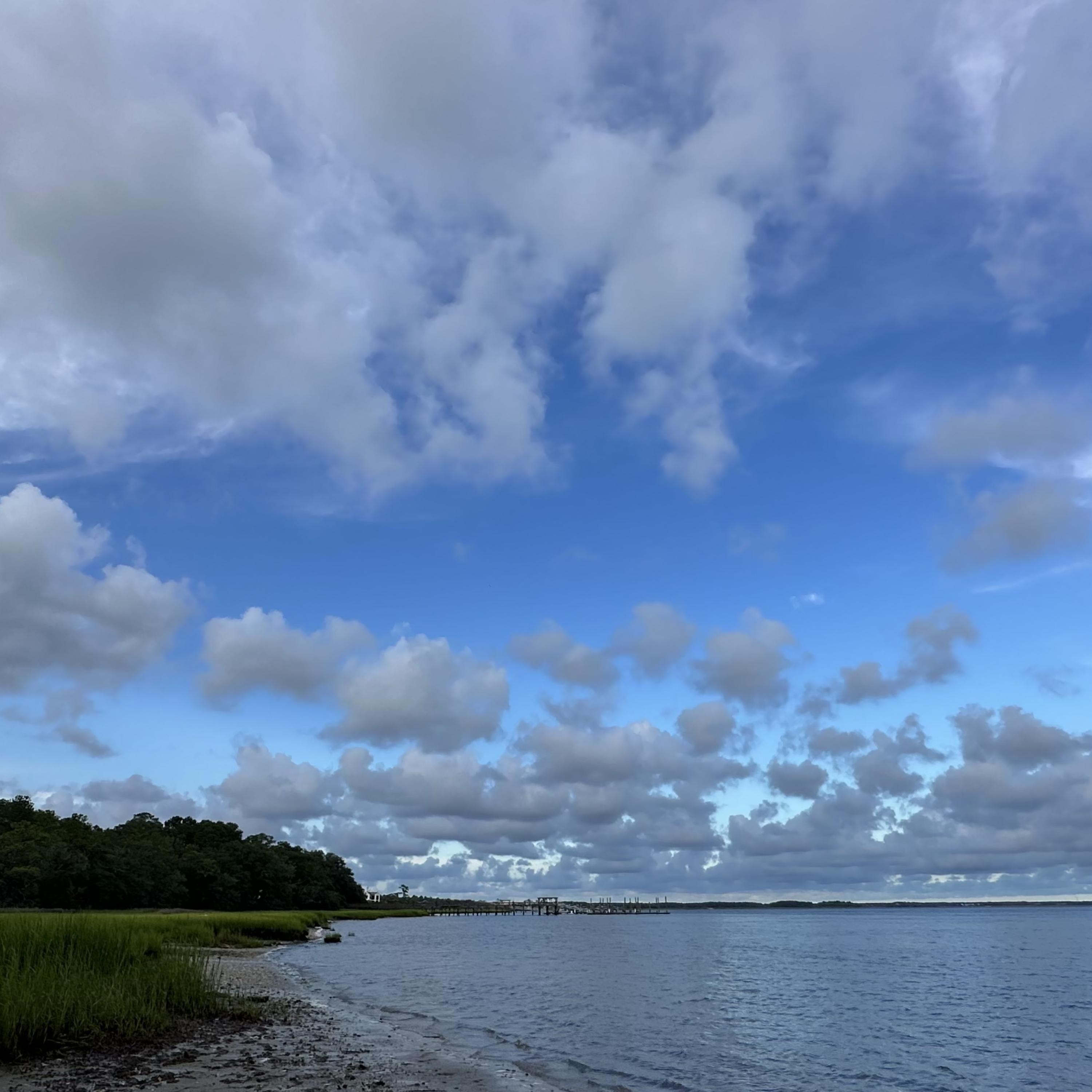 I Want To Be Free artwork