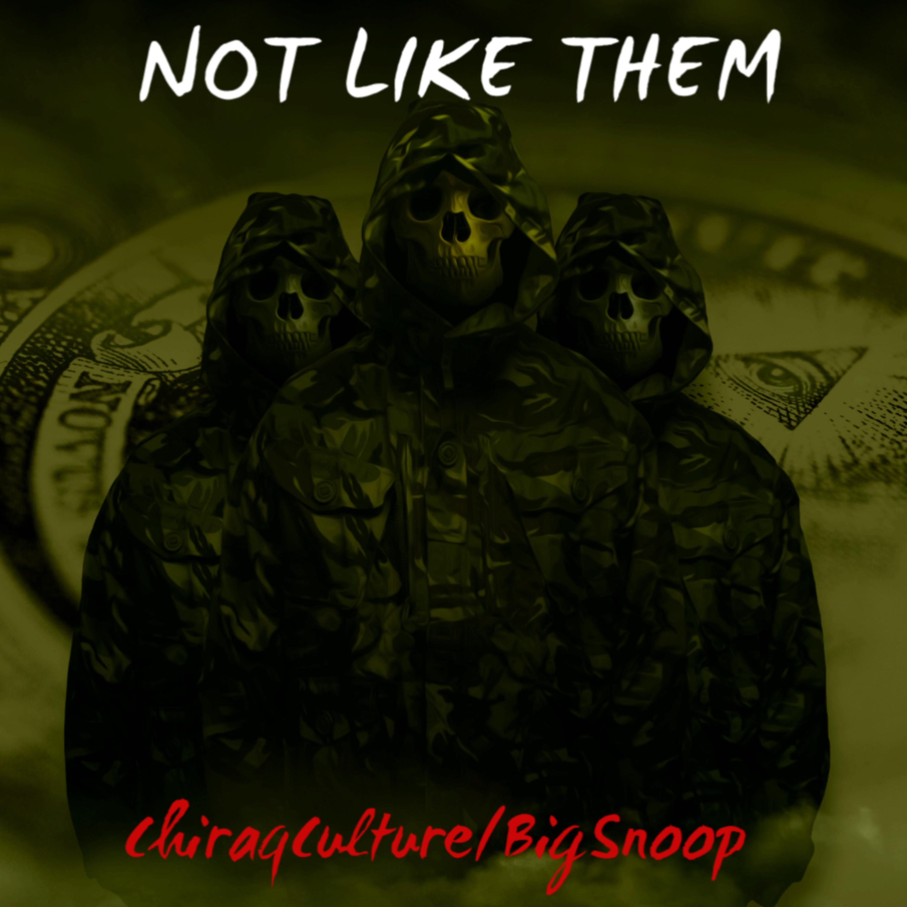NOT LIKE THEM artwork