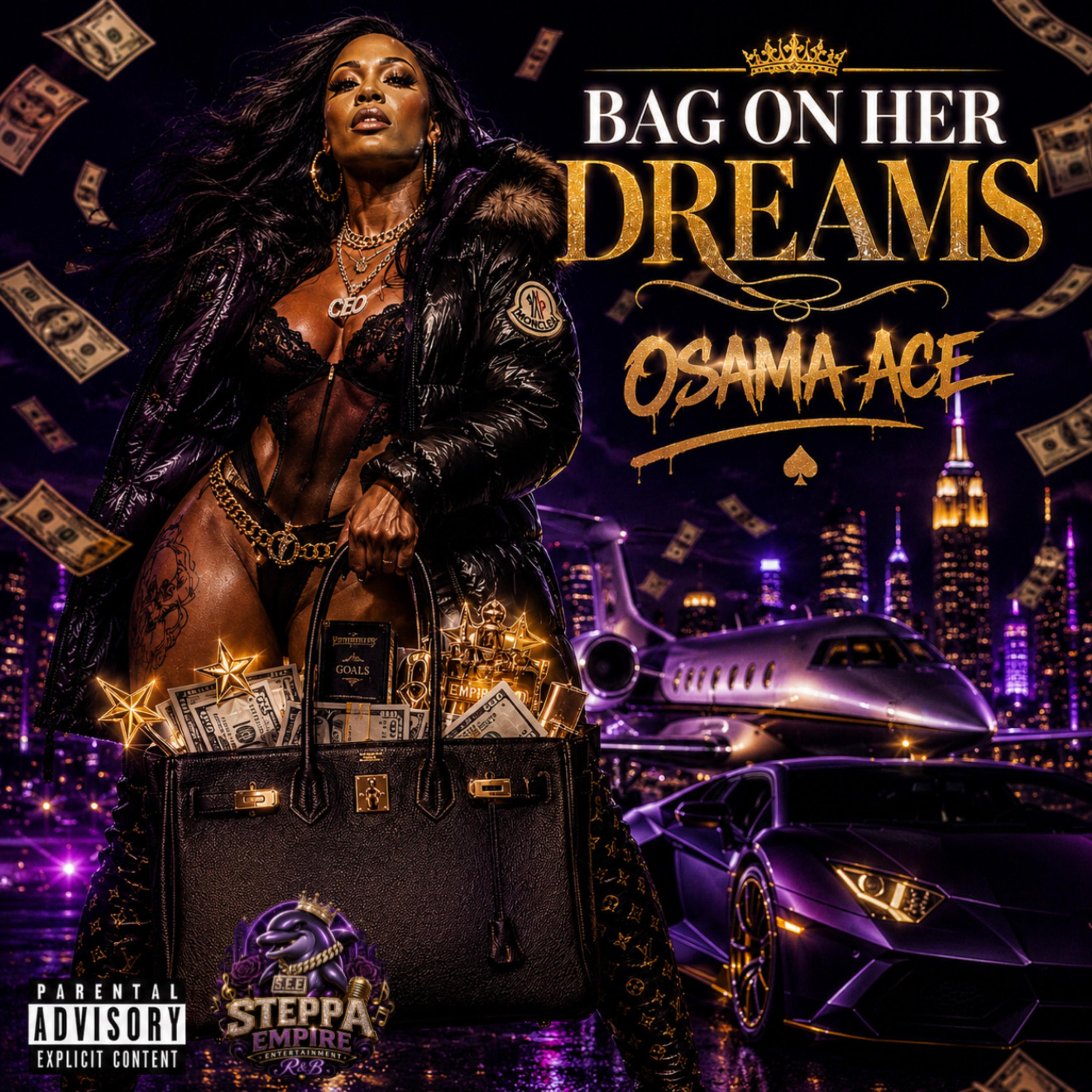 Bag On Her Dreams by Osama Ace cover art