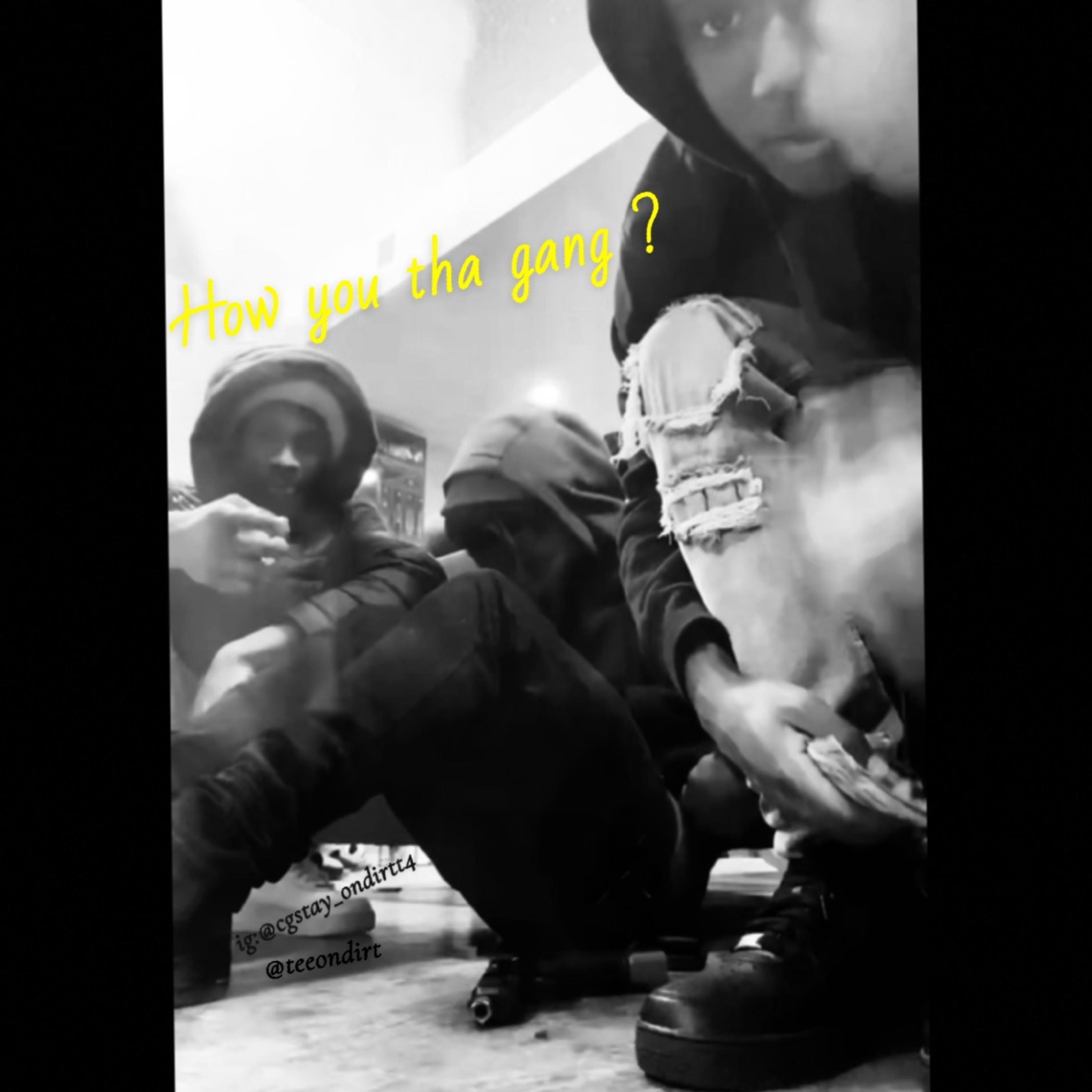 How You Tha Gang ? artwork