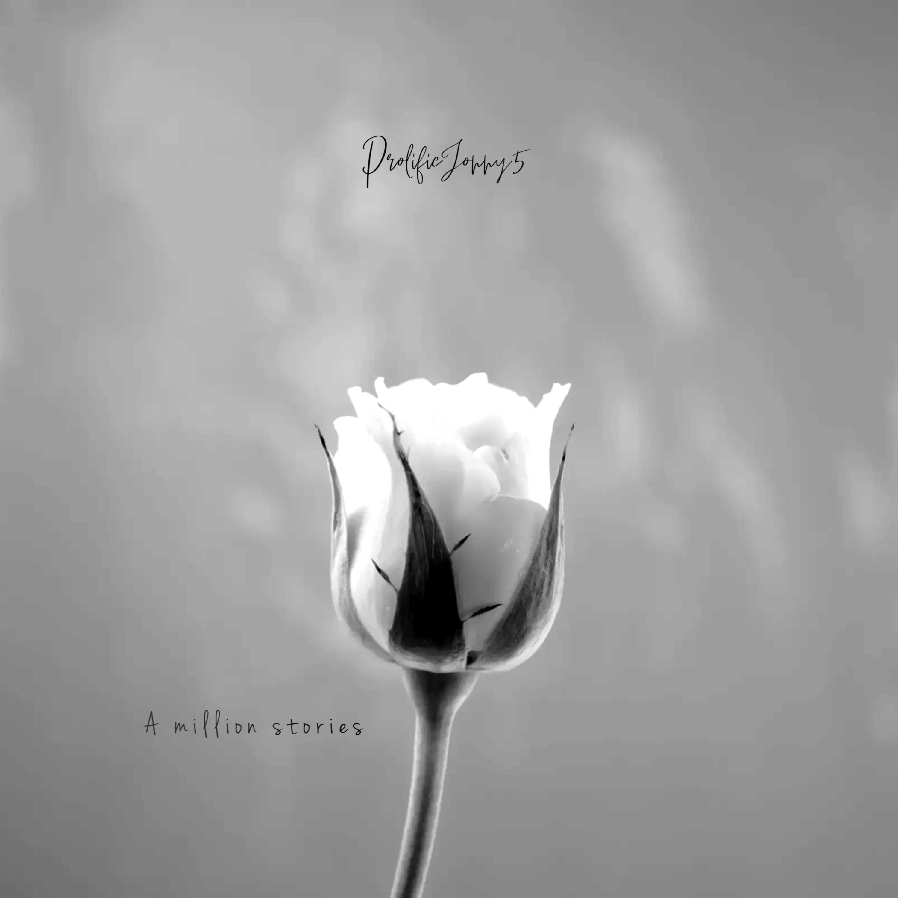 A million stories artwork