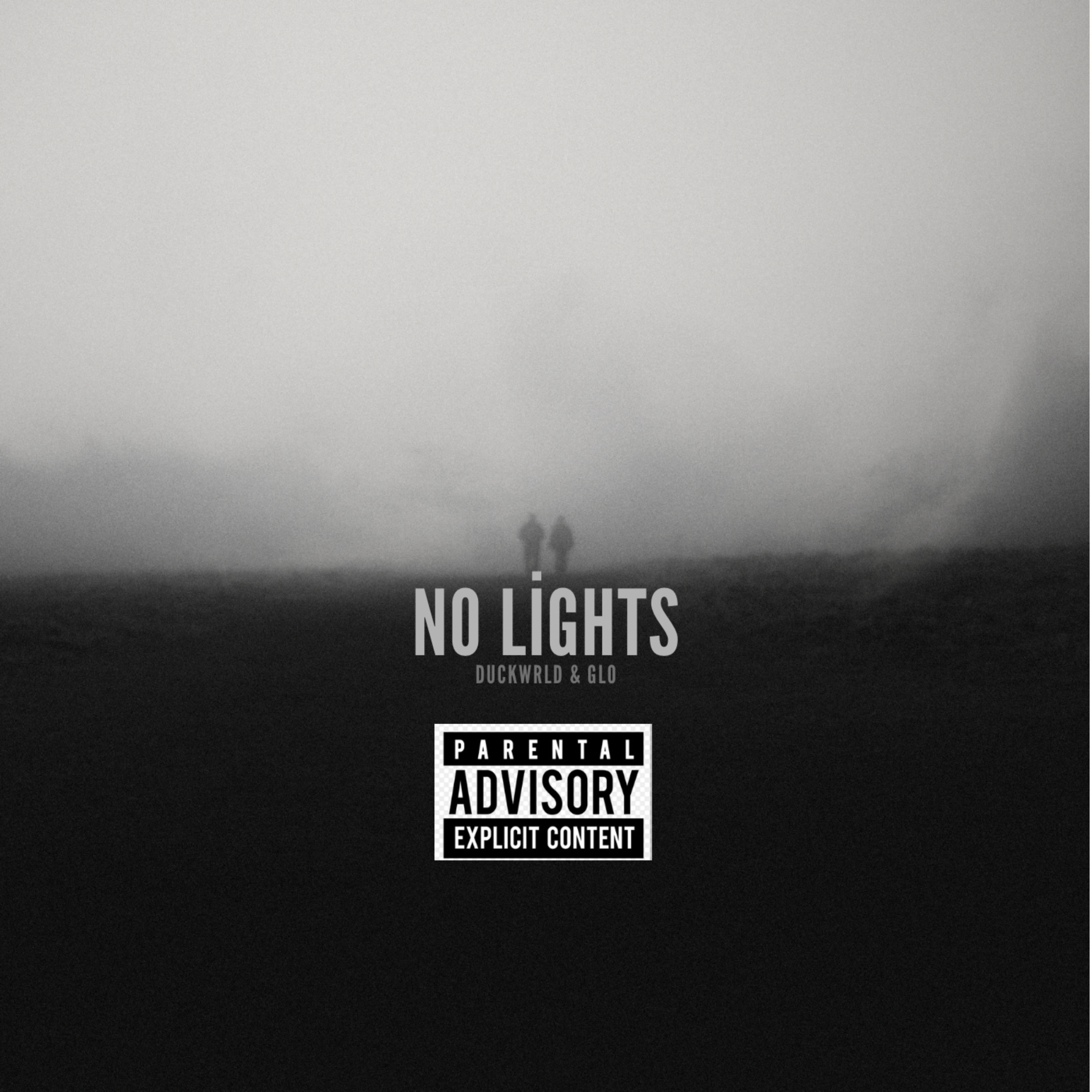 NO LIGHT by 772_DuckWrld cover art