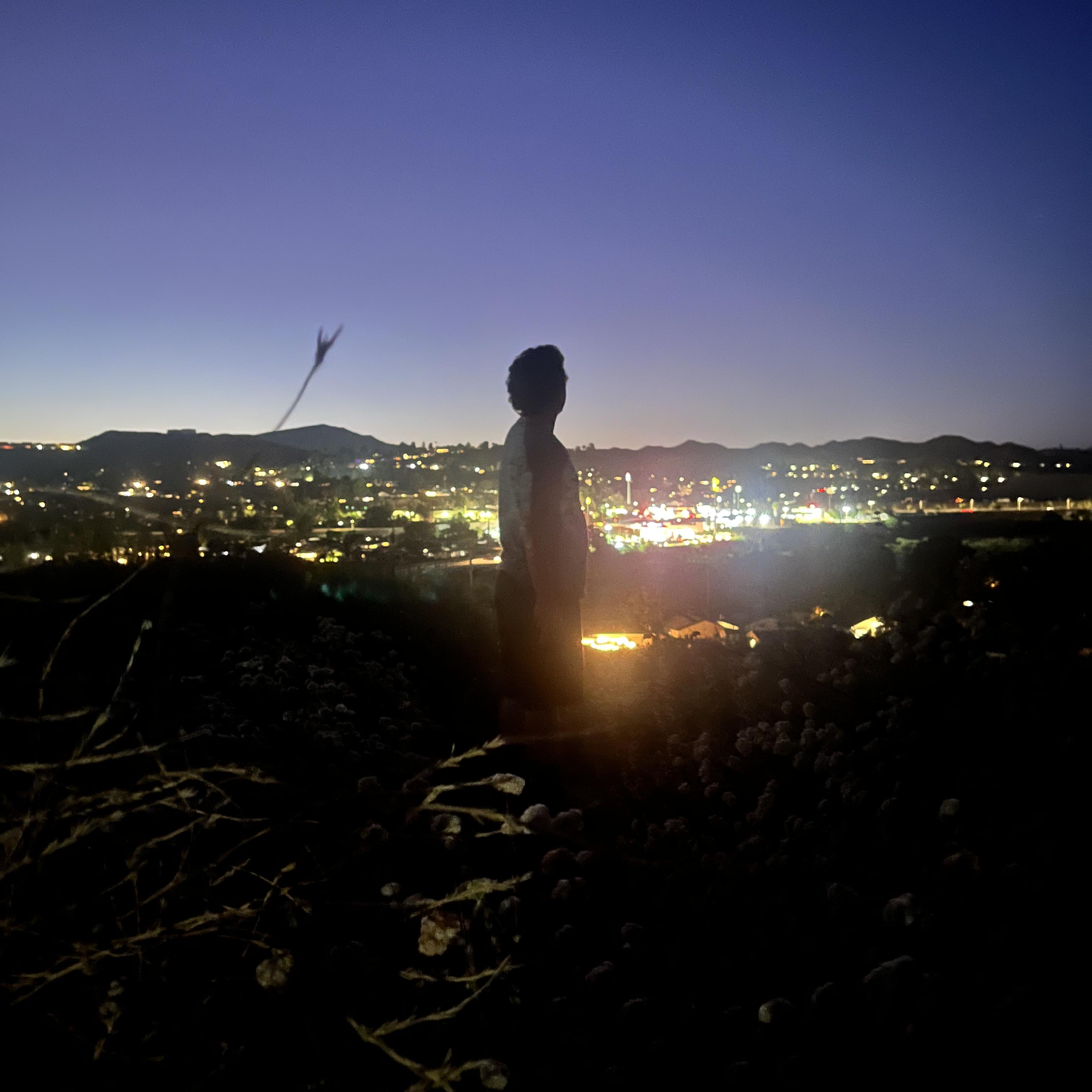 Who’s To Blame? artwork