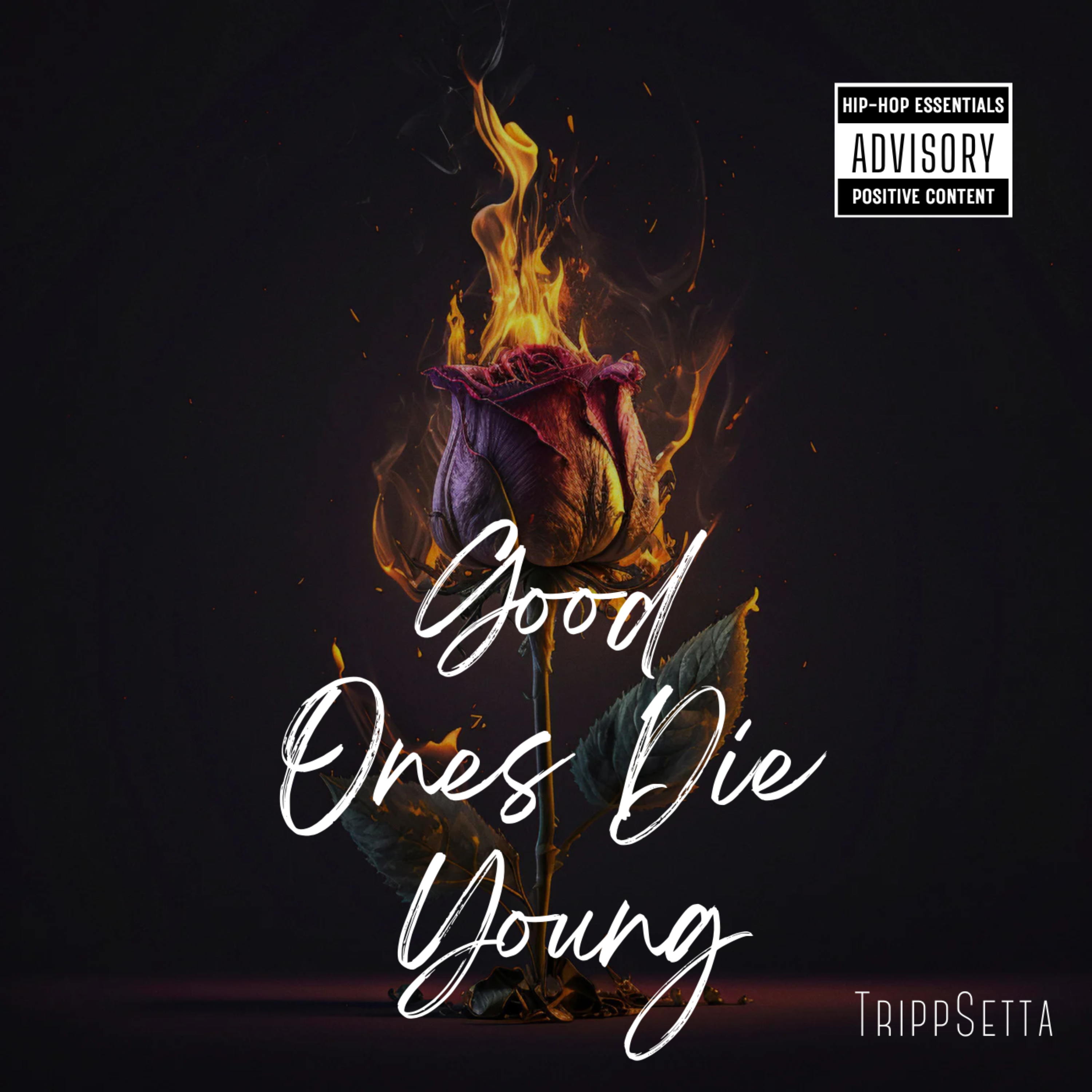 Good Ones Die Young by TrippSetta cover art