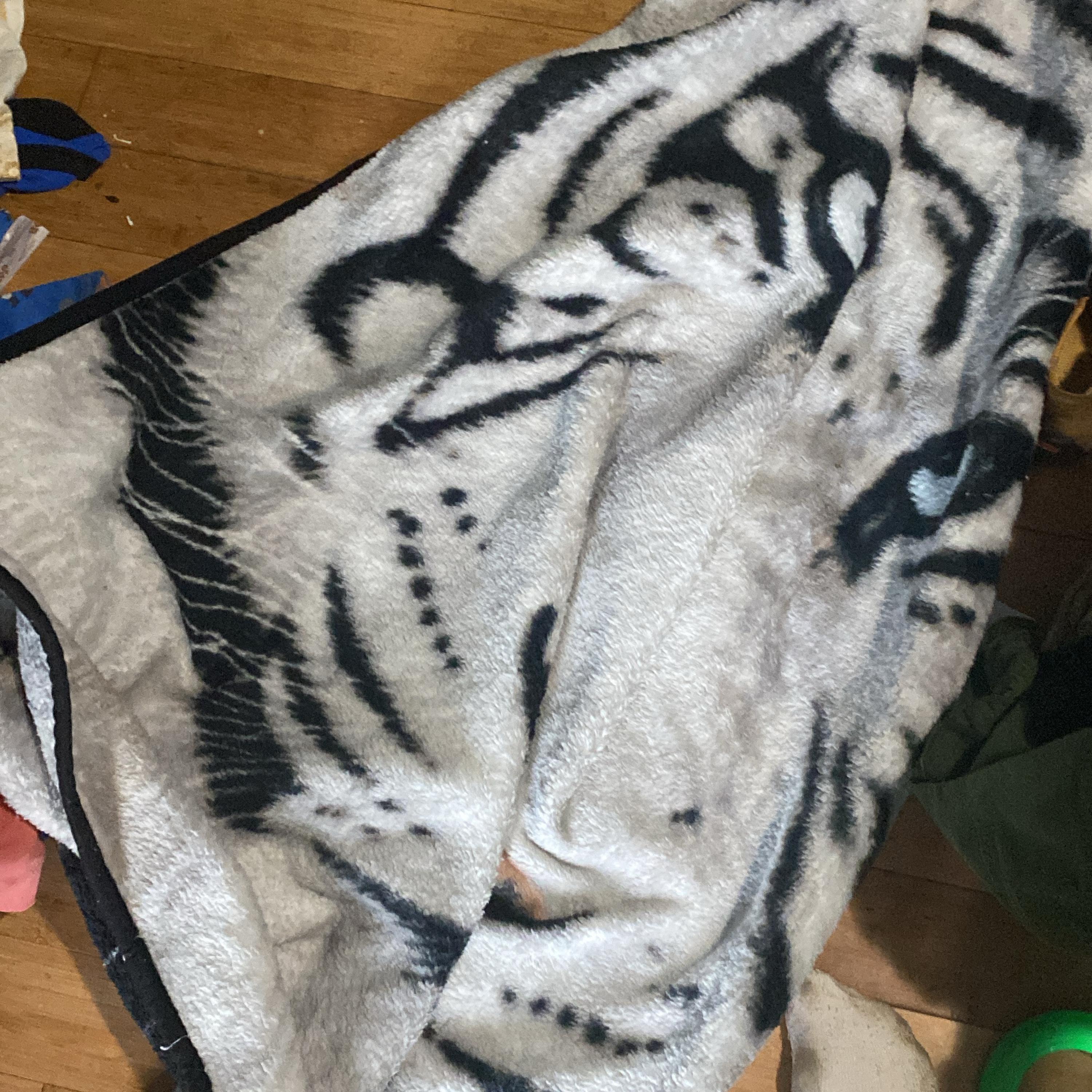 Minute Made Freestyle artwork