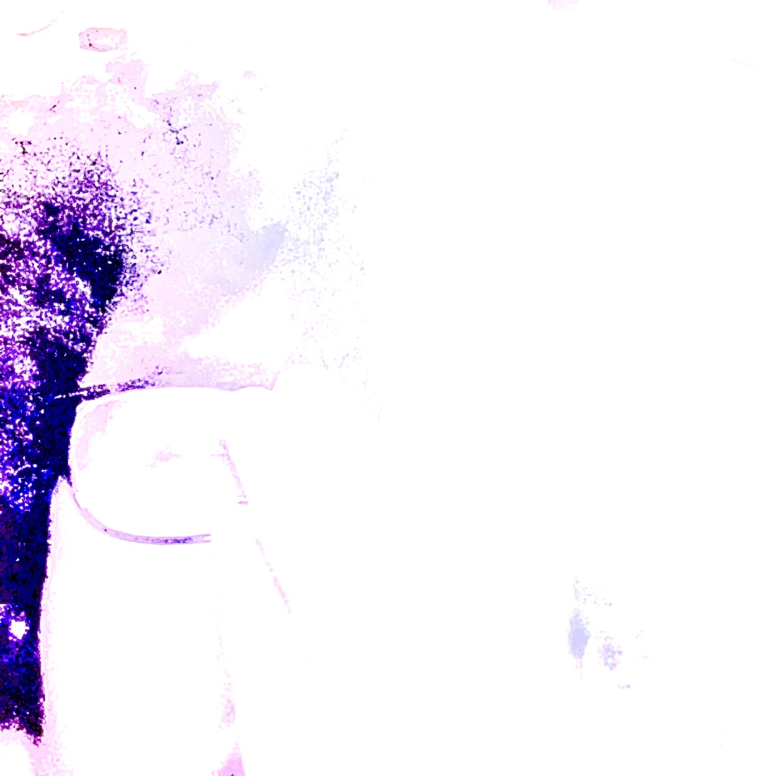 Double Bacc artwork