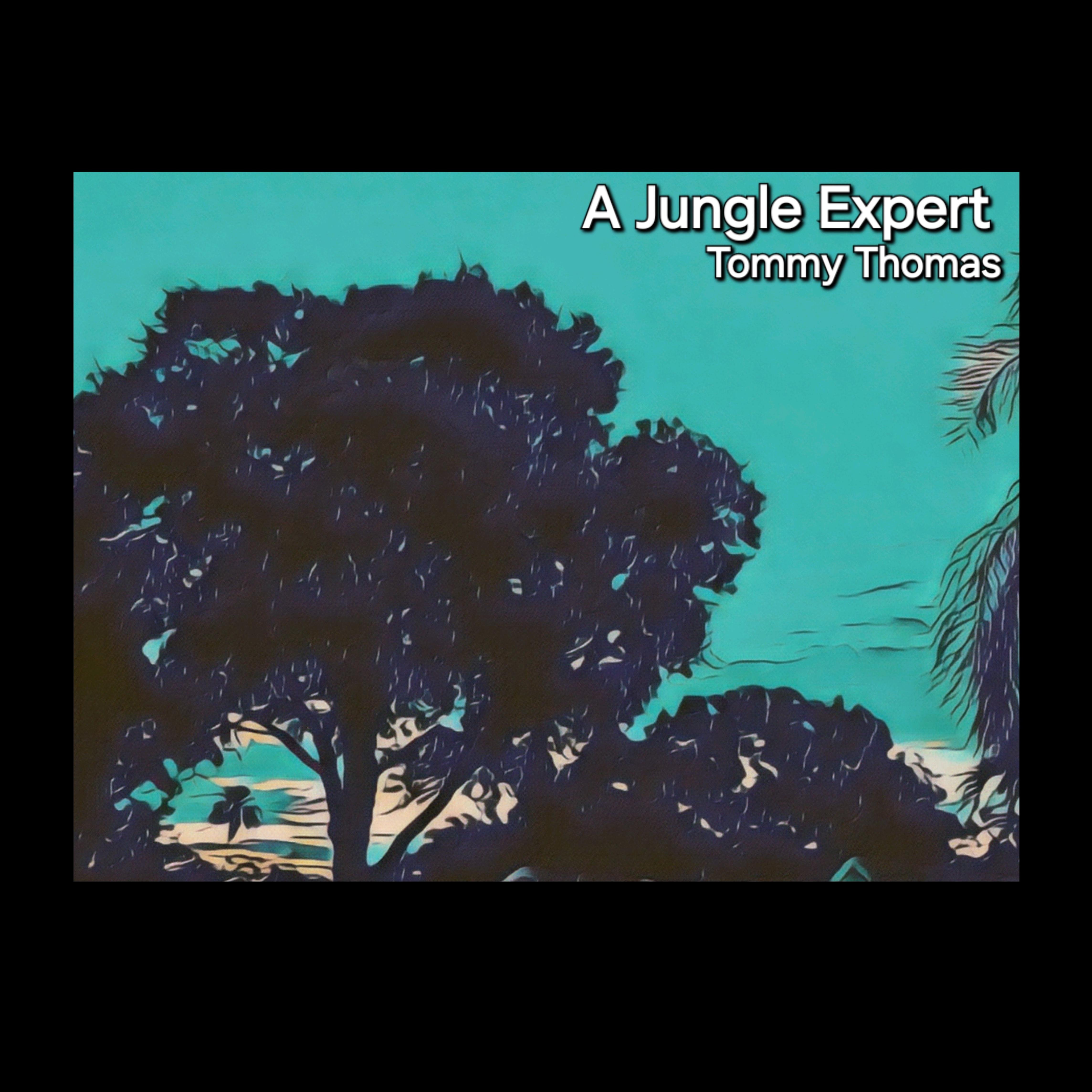 A Jungle Expert artwork
