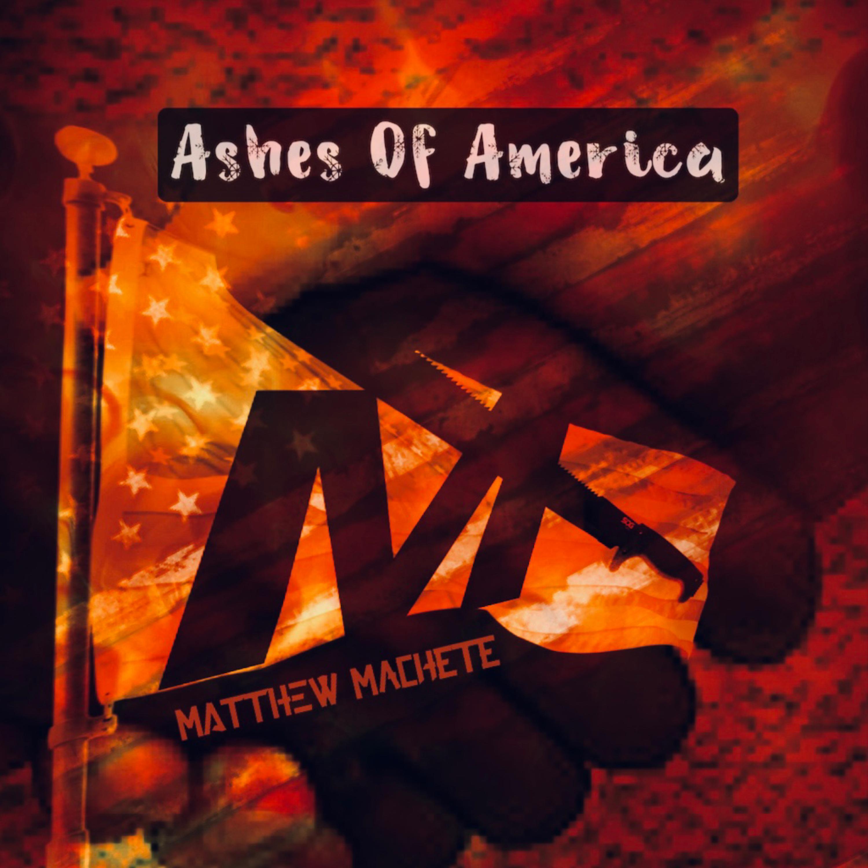Ashes Of America (acoustic) artwork