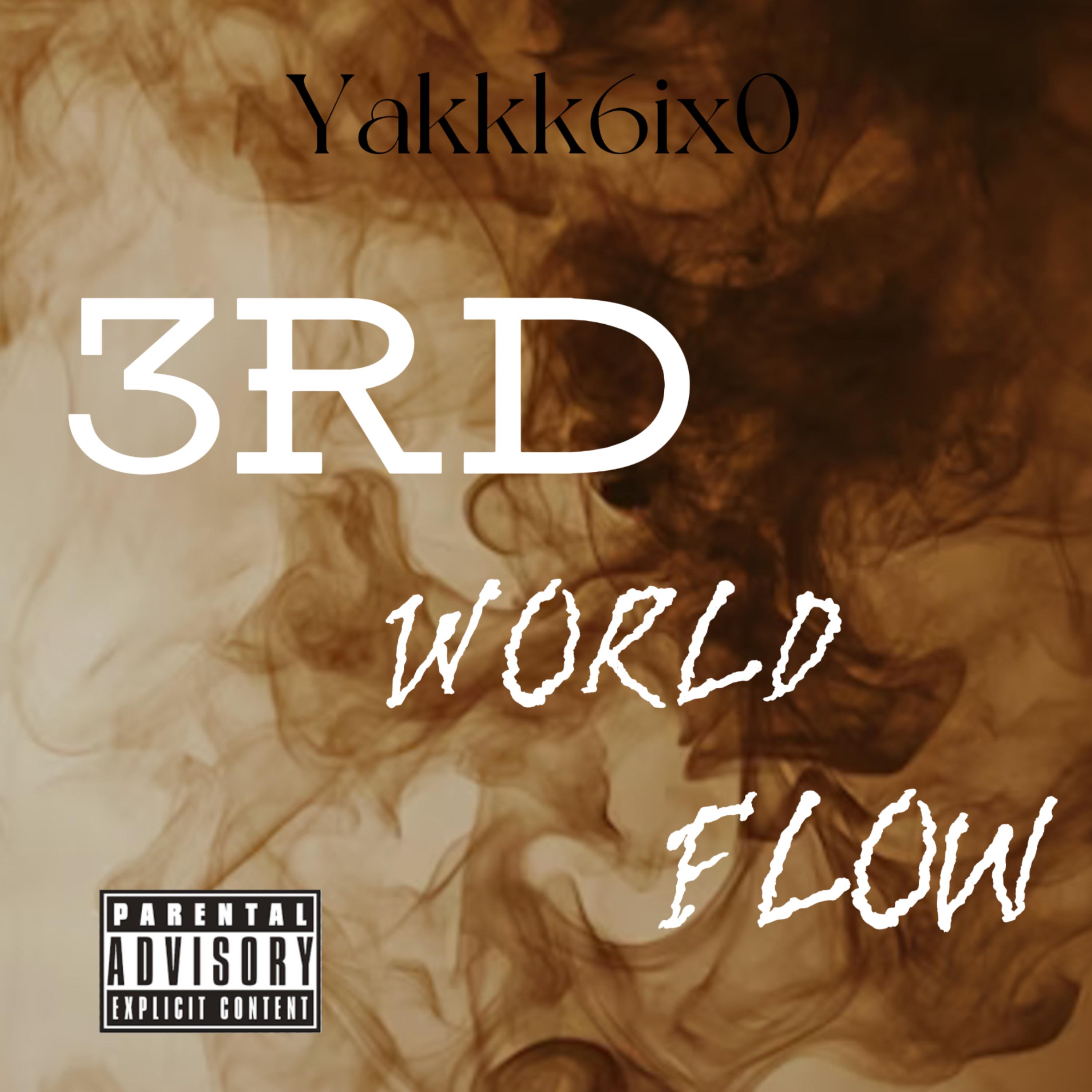 3rd World Flow artwork