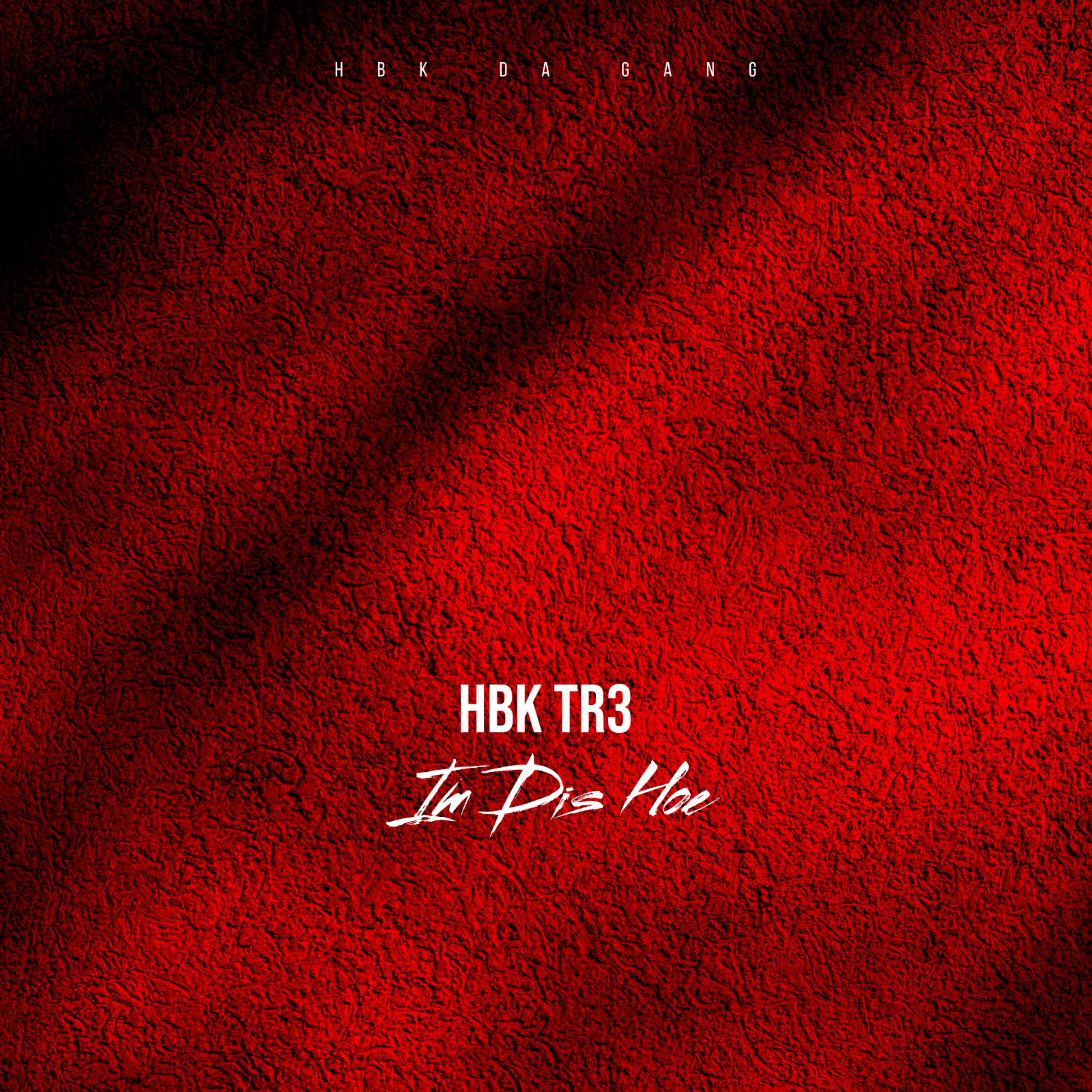 In Dis Hoe artwork