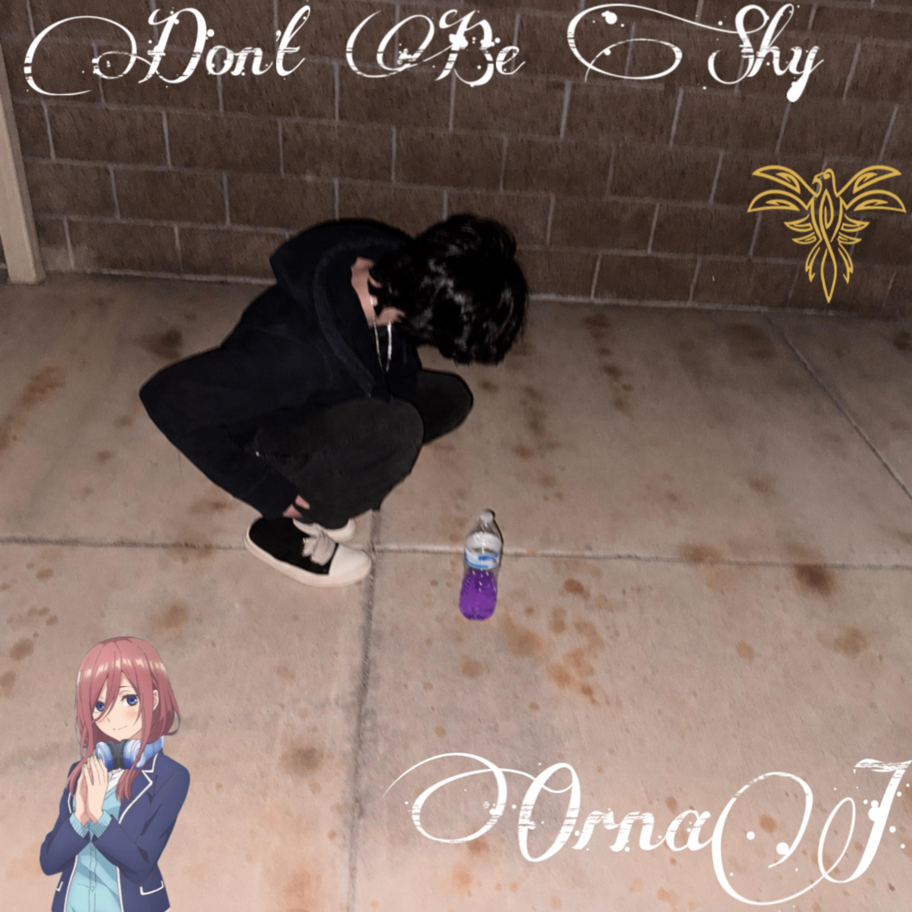Don’t Be Shy by OranJ cover art