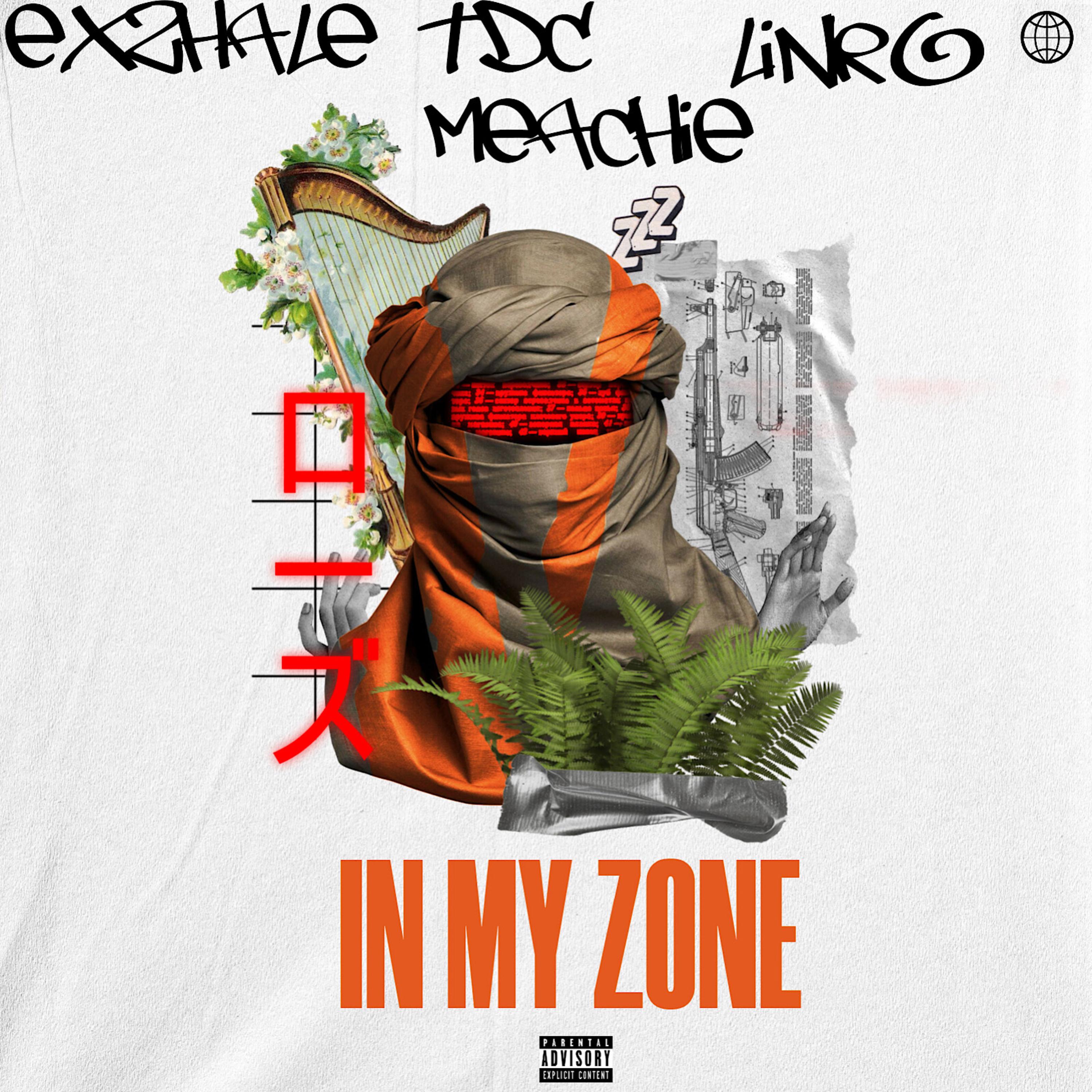 IN MY ZONE artwork
