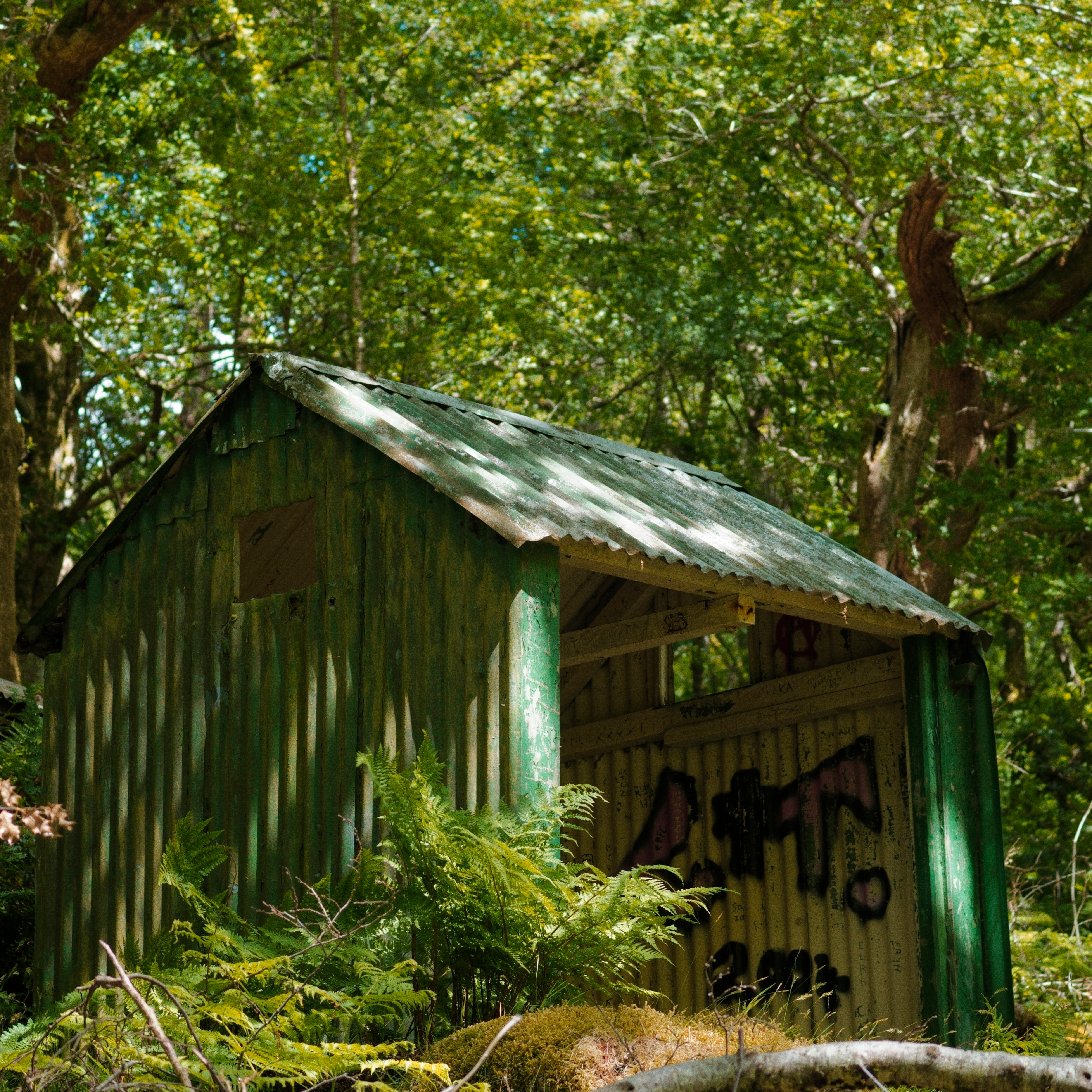 The Afterthought artwork