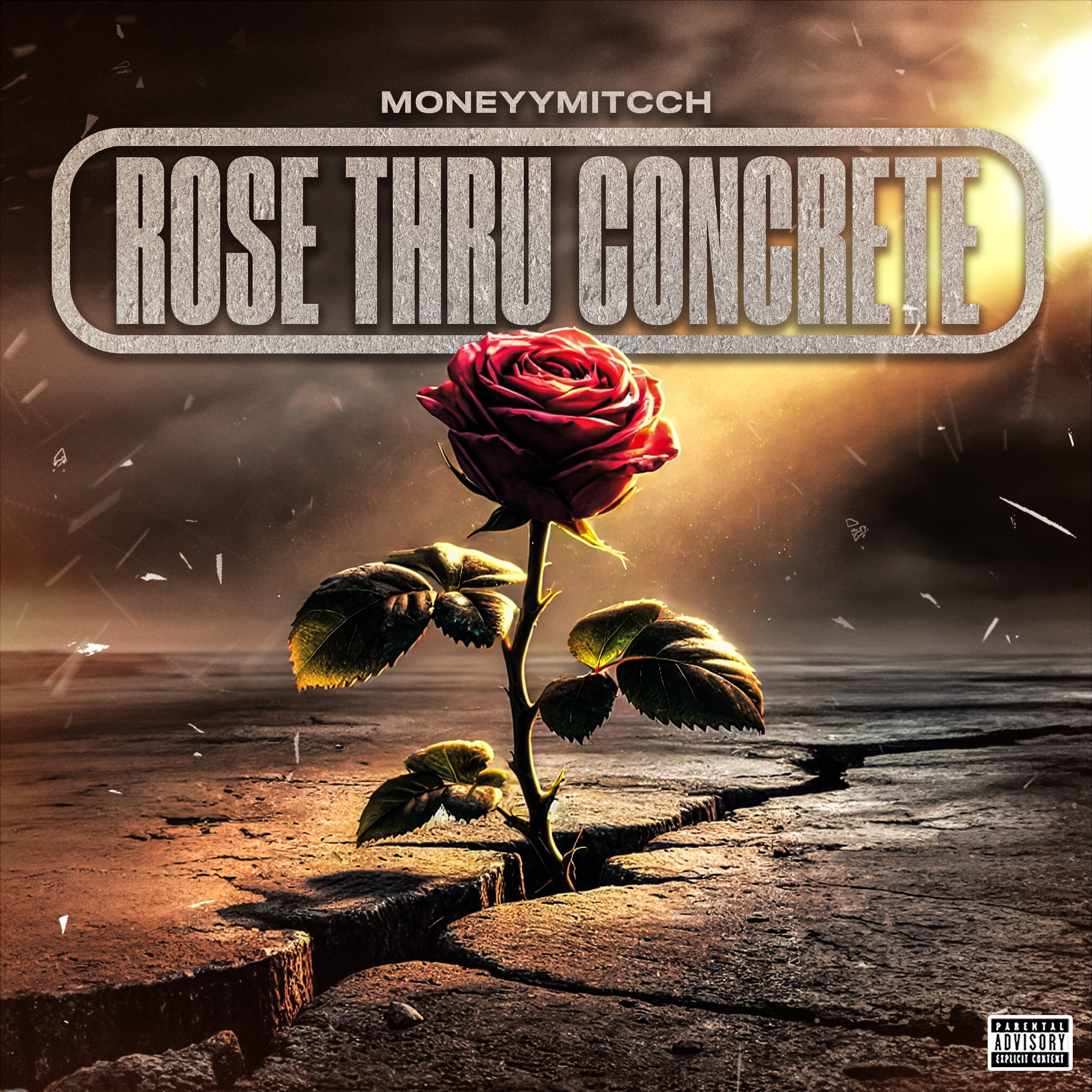 Rose Thru Concrete artwork