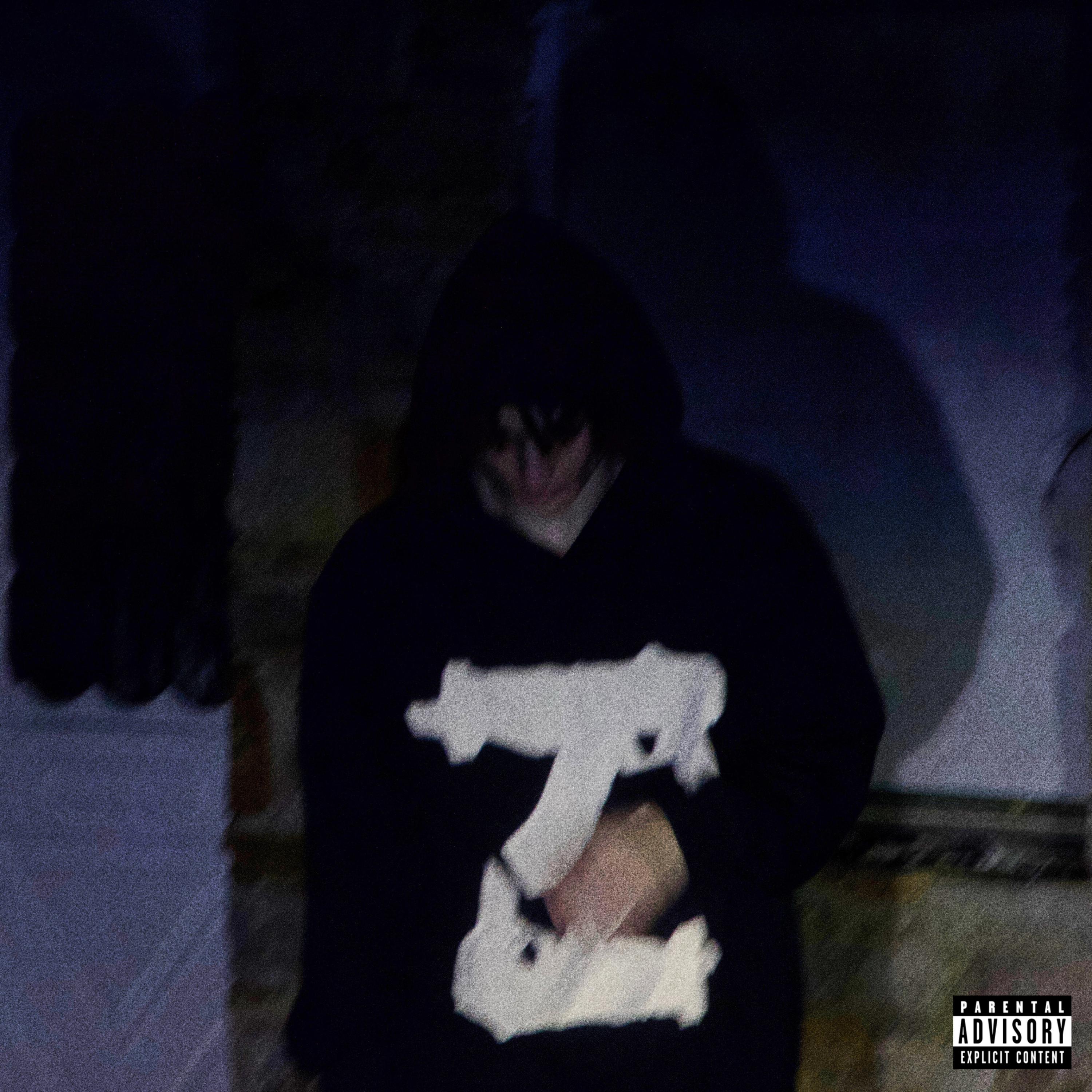 the voices said you're high already artwork