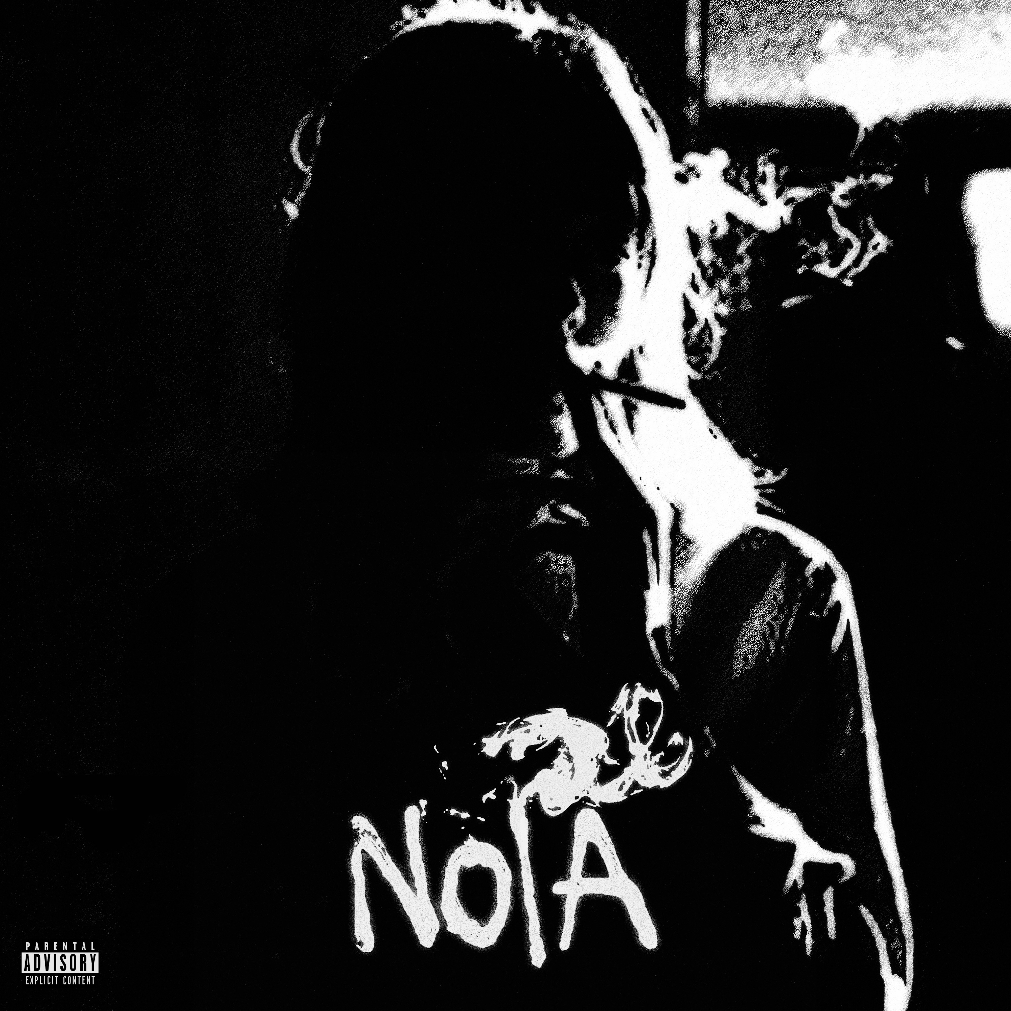 NOIA artwork