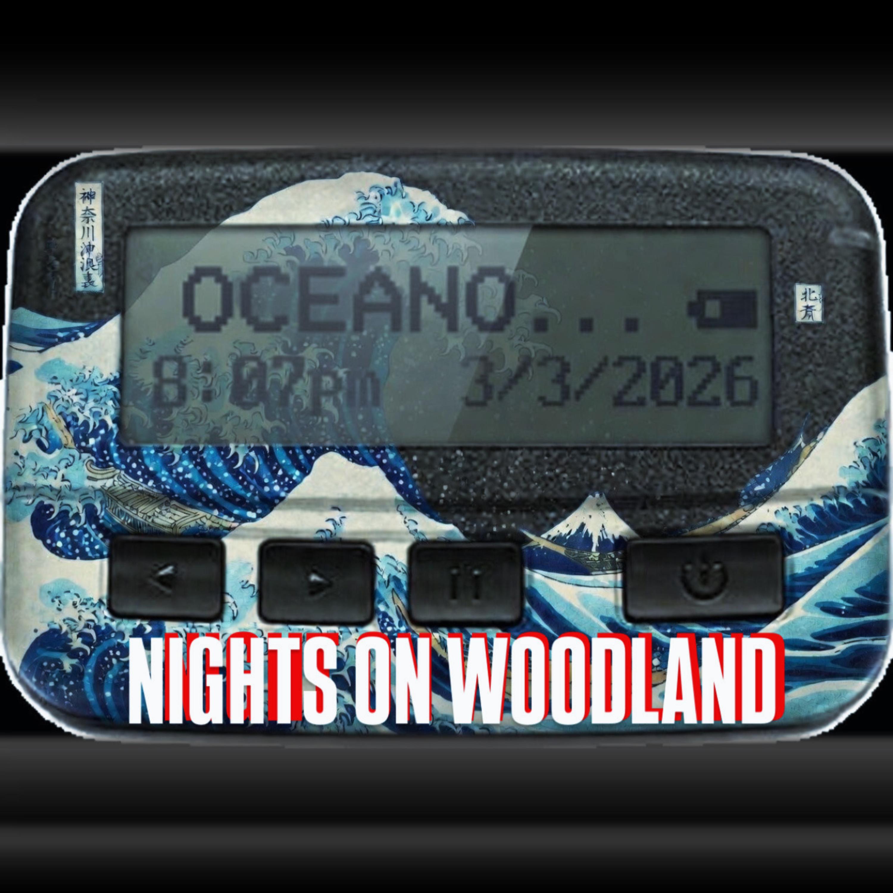 Nights On Woodland artwork