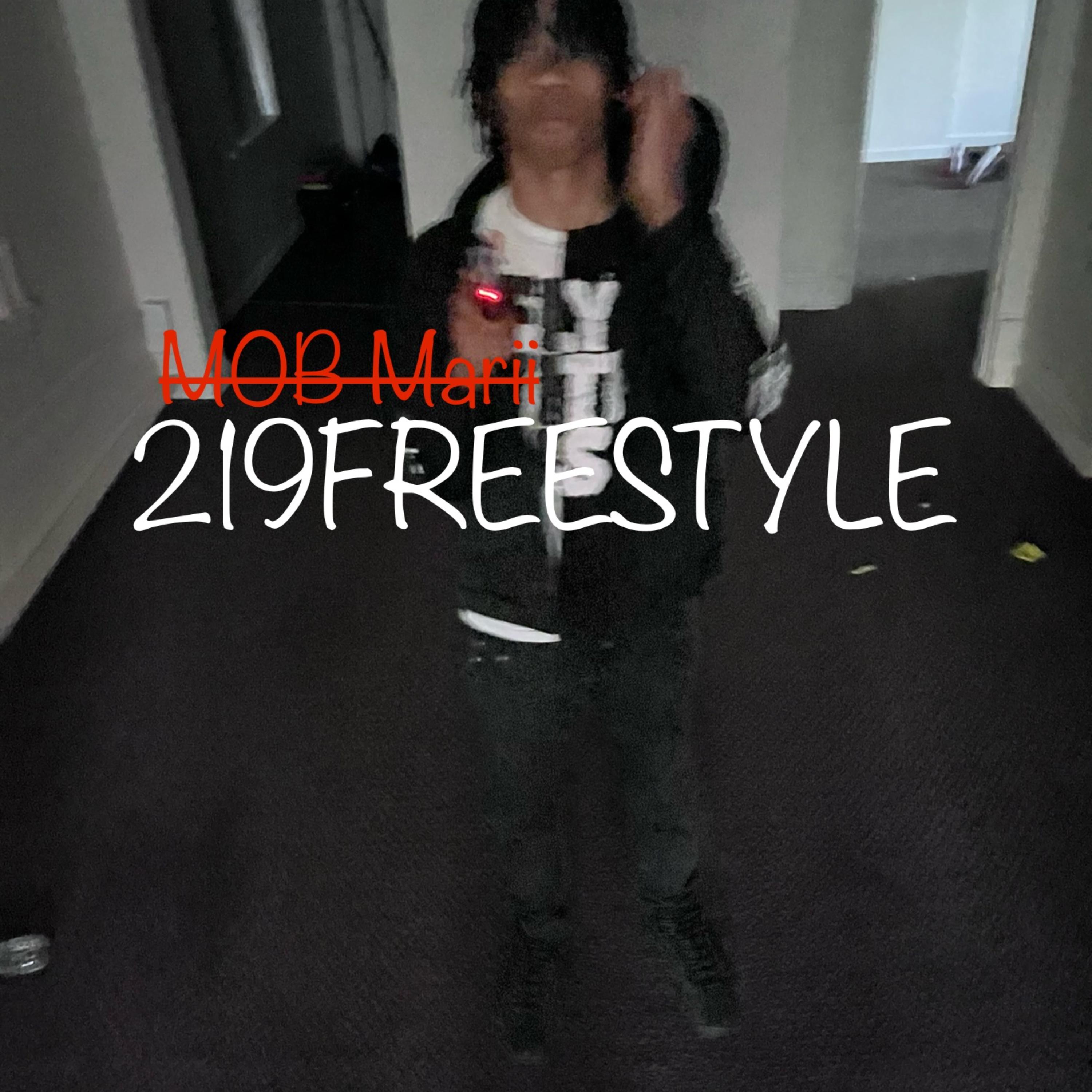 219 Freestyle artwork