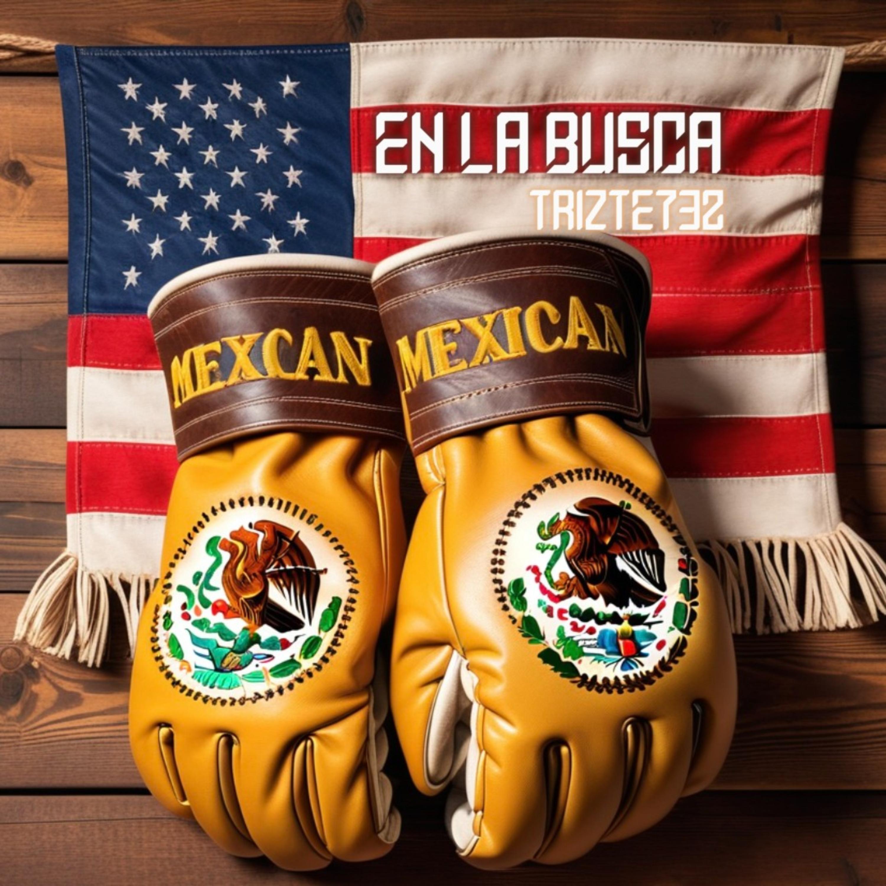 En La Busca by Trizte732 cover art