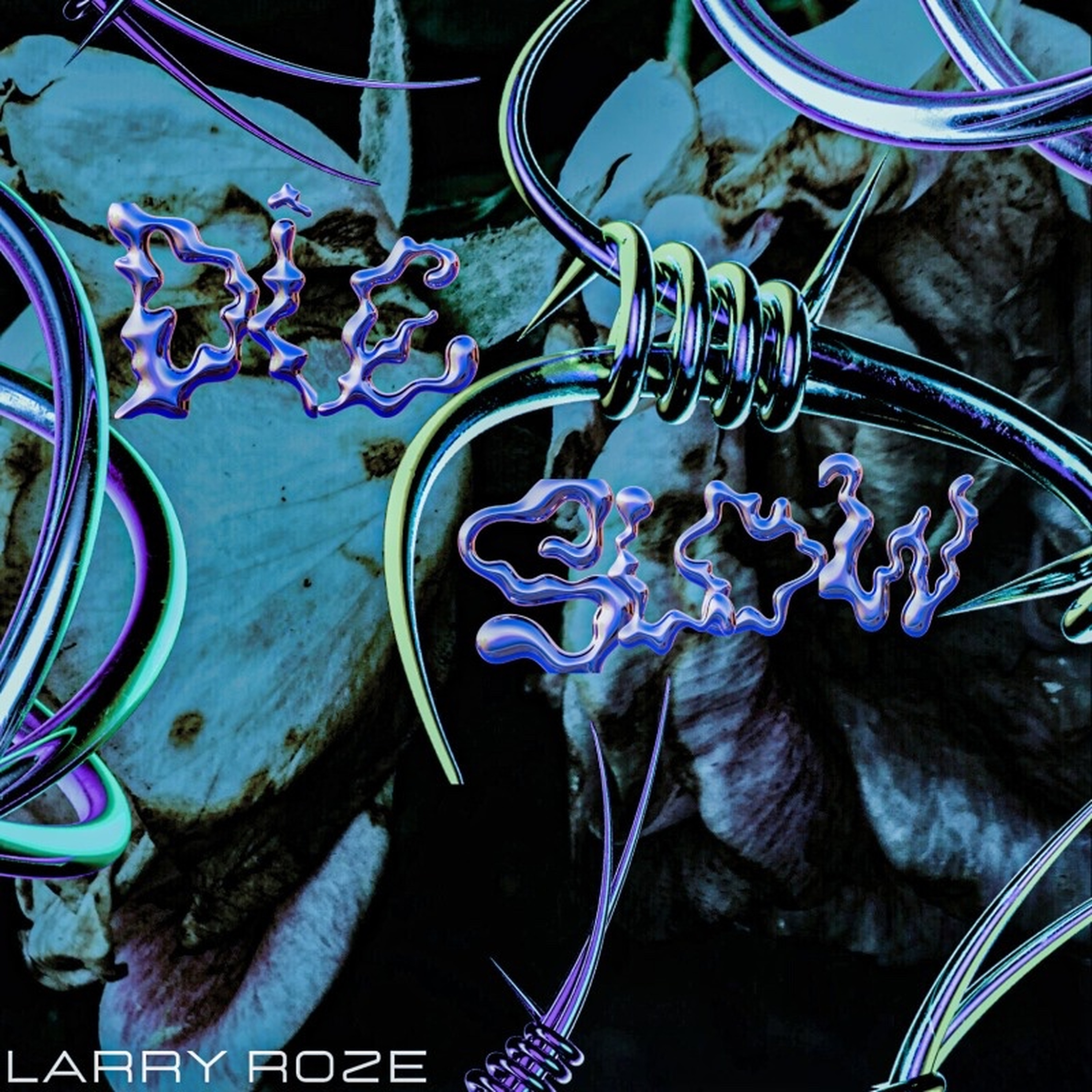Die Slow by Larry Roze cover art
