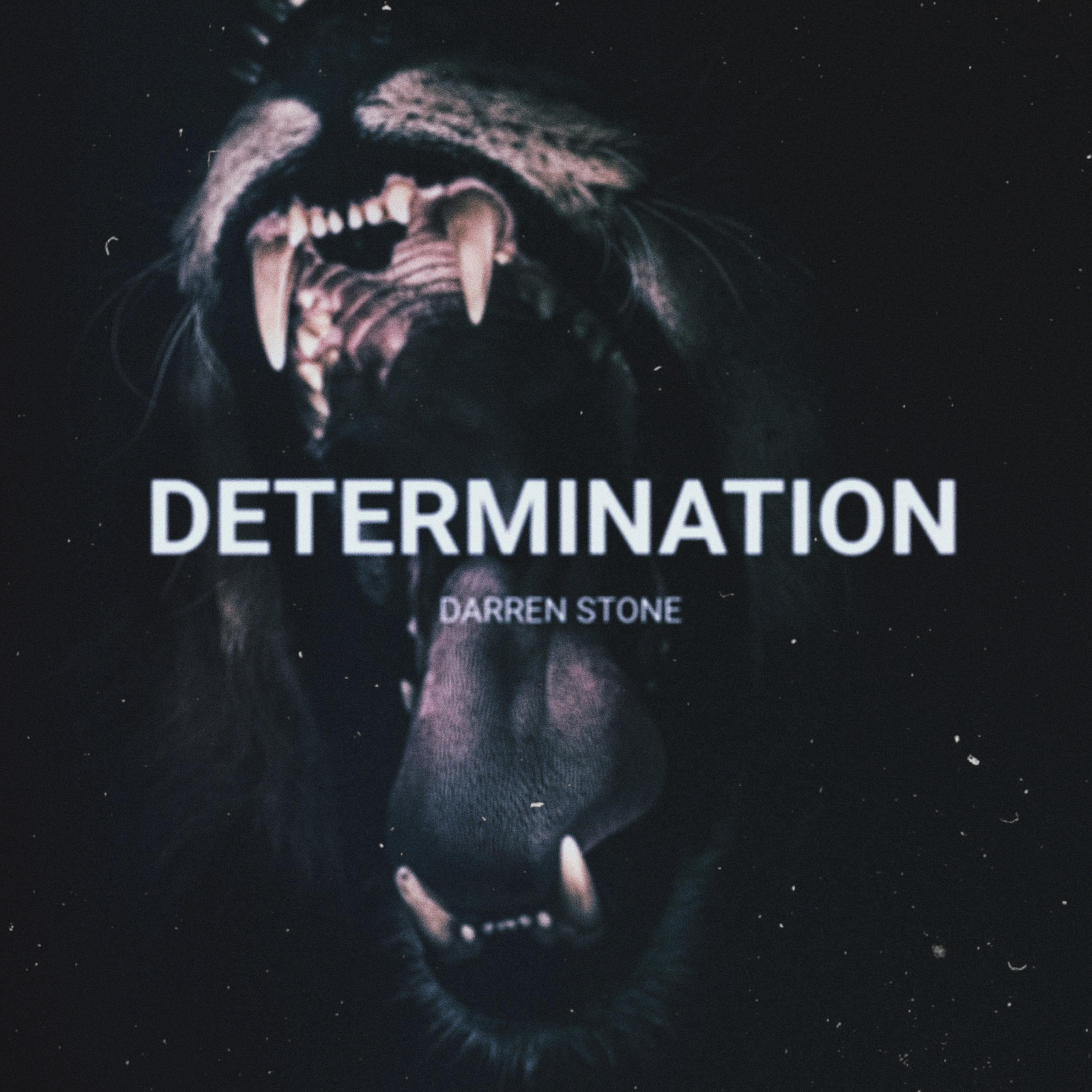 Determination artwork