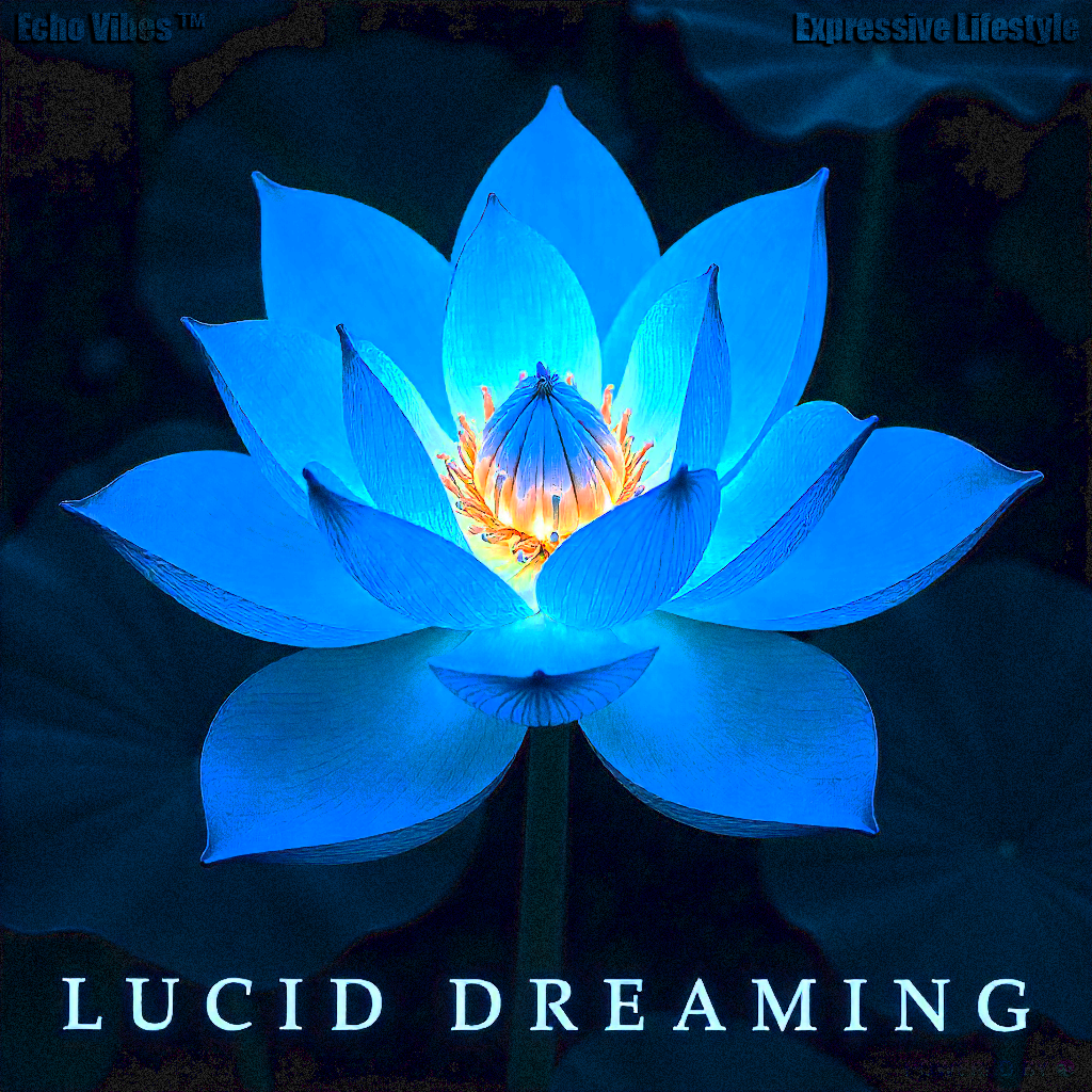 Lucid dreaming artwork